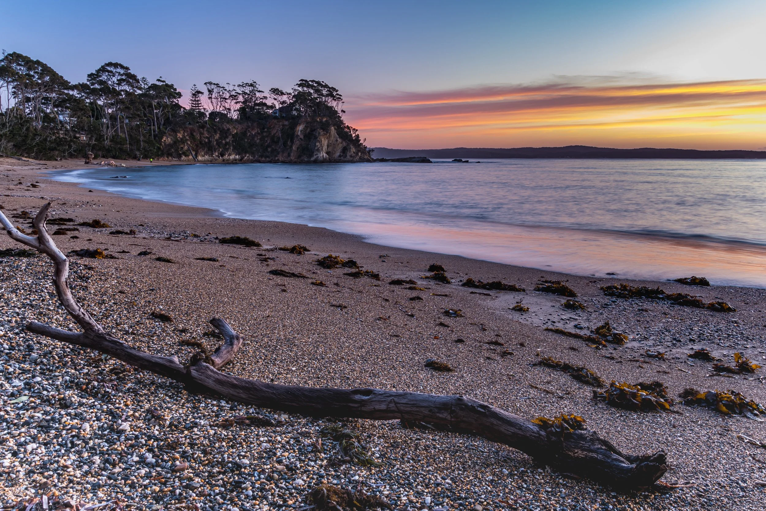 A peaceful beach at sunset with a fallen piece of driftwood on a pebbled shore, overlooking a calm ocean with a wooded headland in the distance.