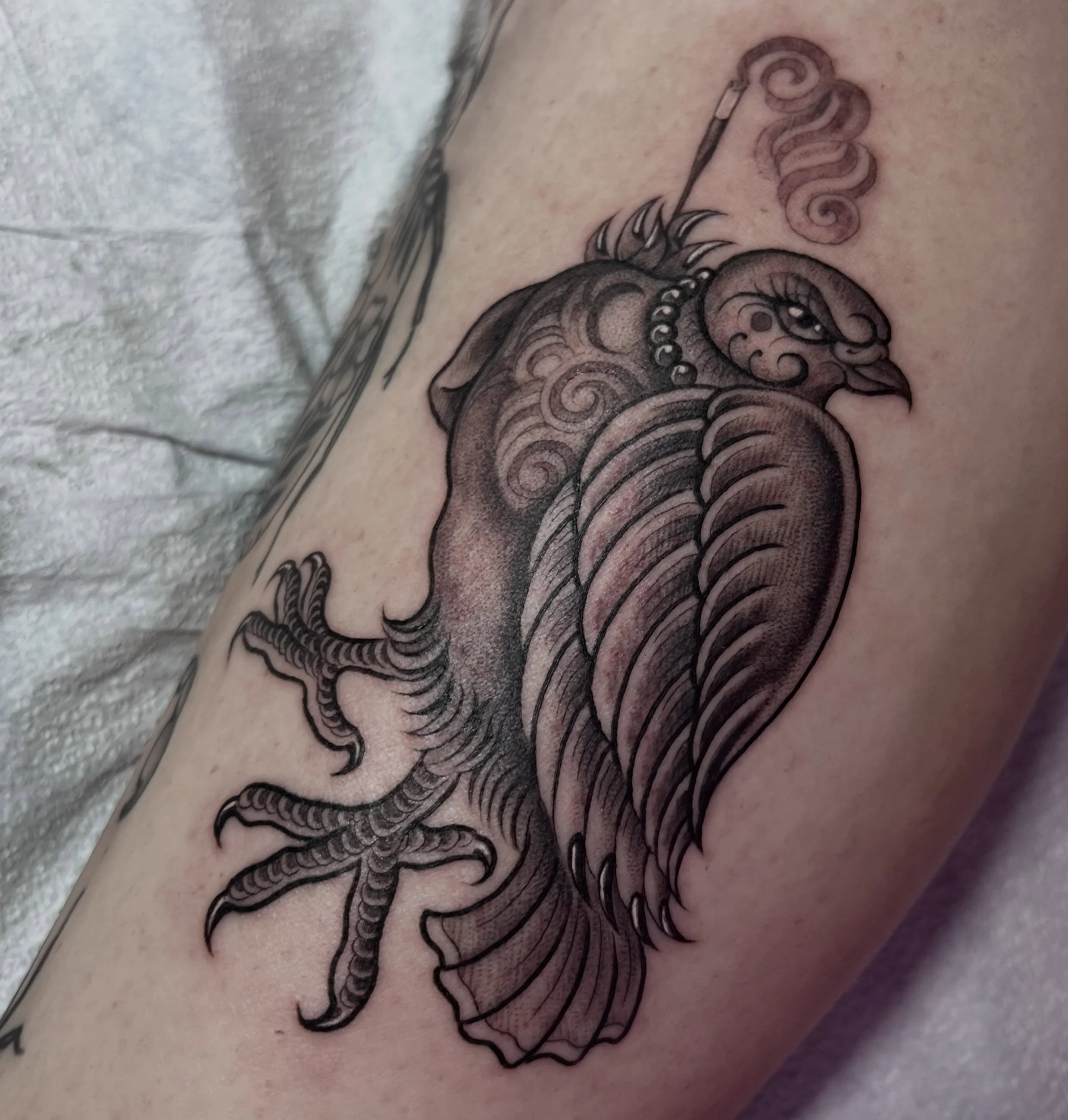 Cunty pigeon for Miss Nani. Thanks again