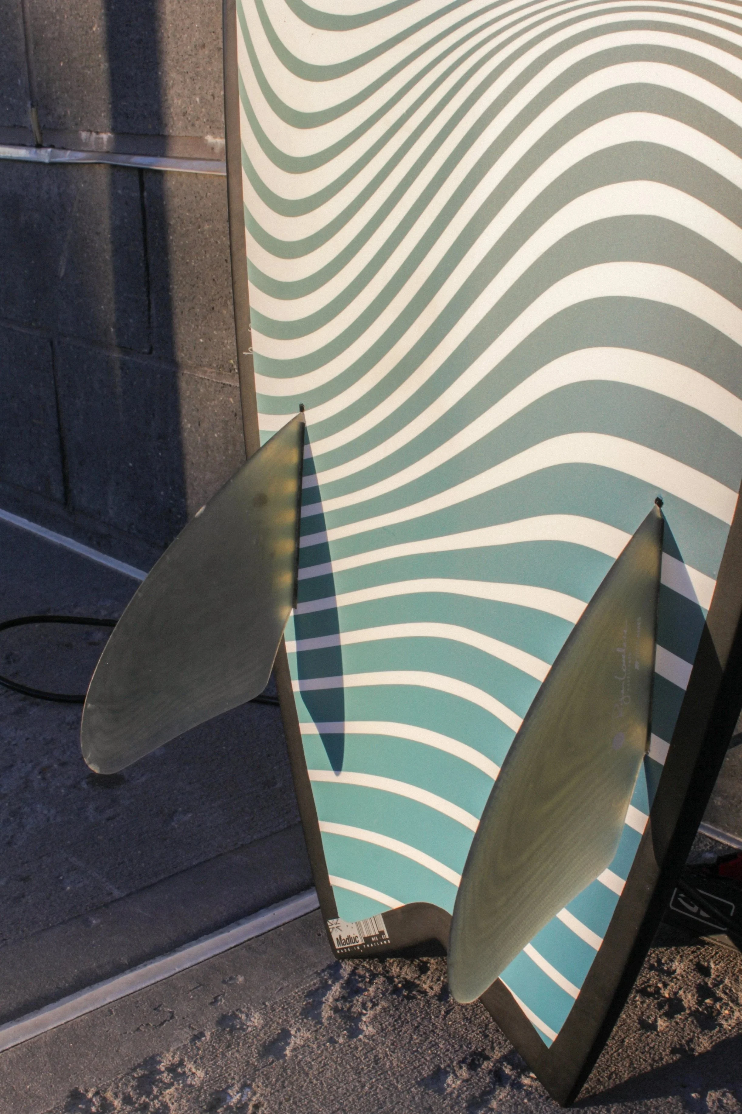 Tail+Detail.jpg