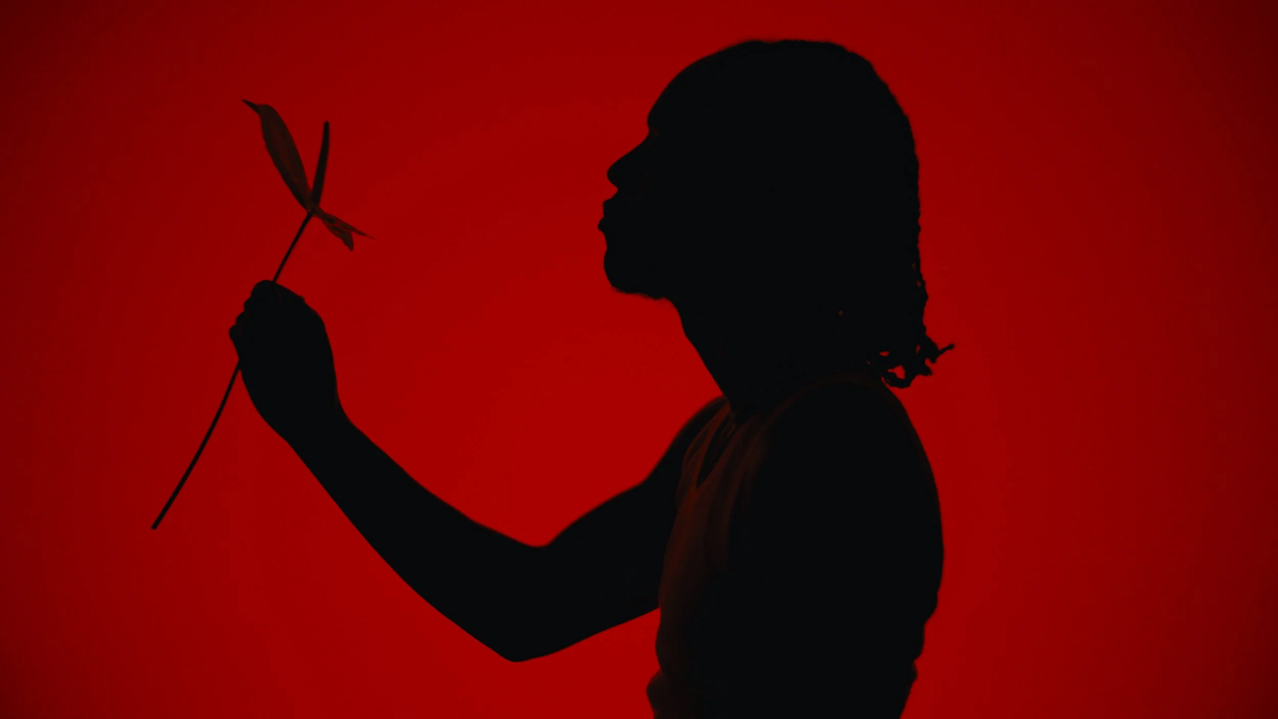 Malemolência Fúria EP 01 (Comissioned by Canon)