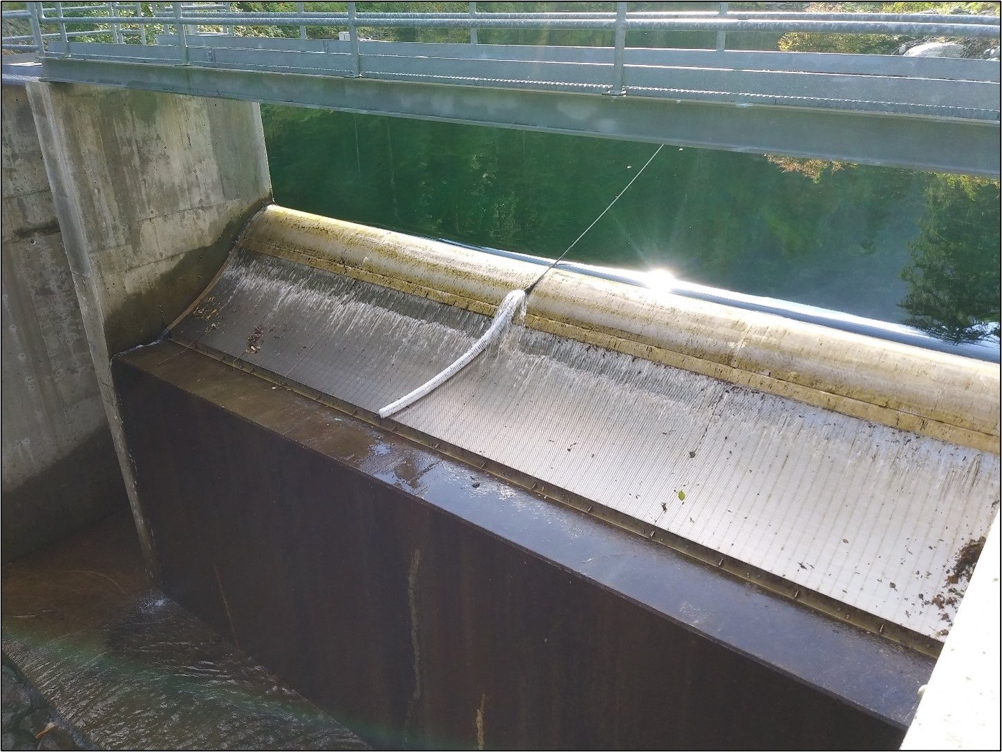 S2SES Automated Coanda Screen Cleaner