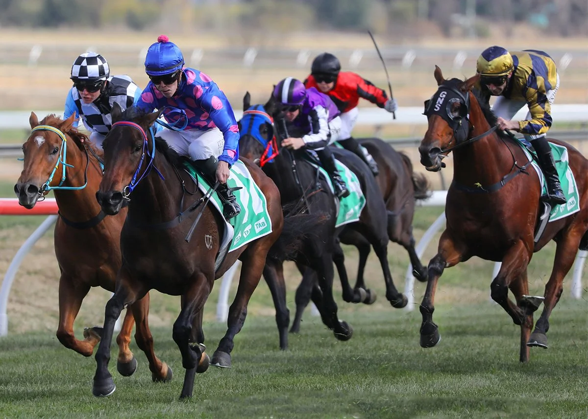 Bathurst thoroughbred rsacing