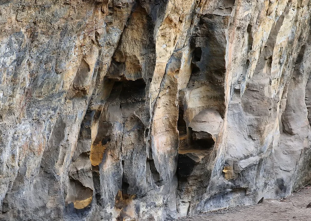 013A7656.JPG