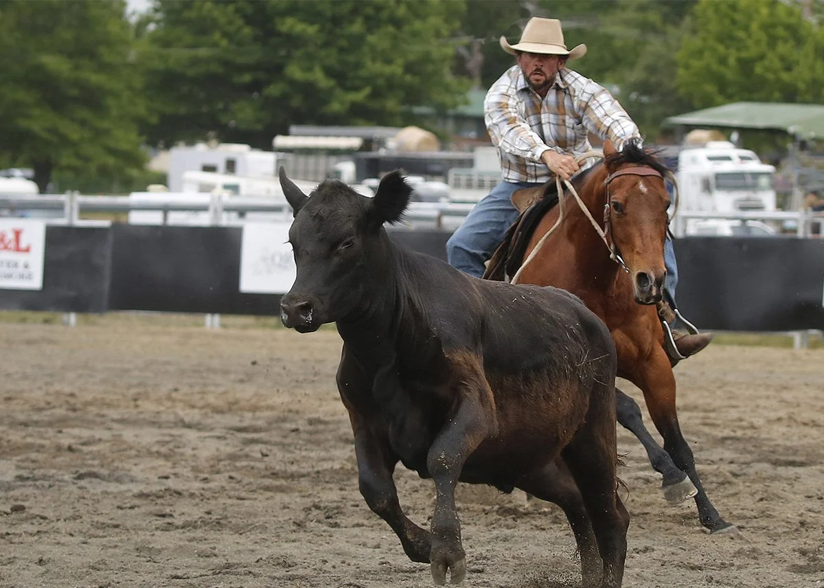 c37.jpg