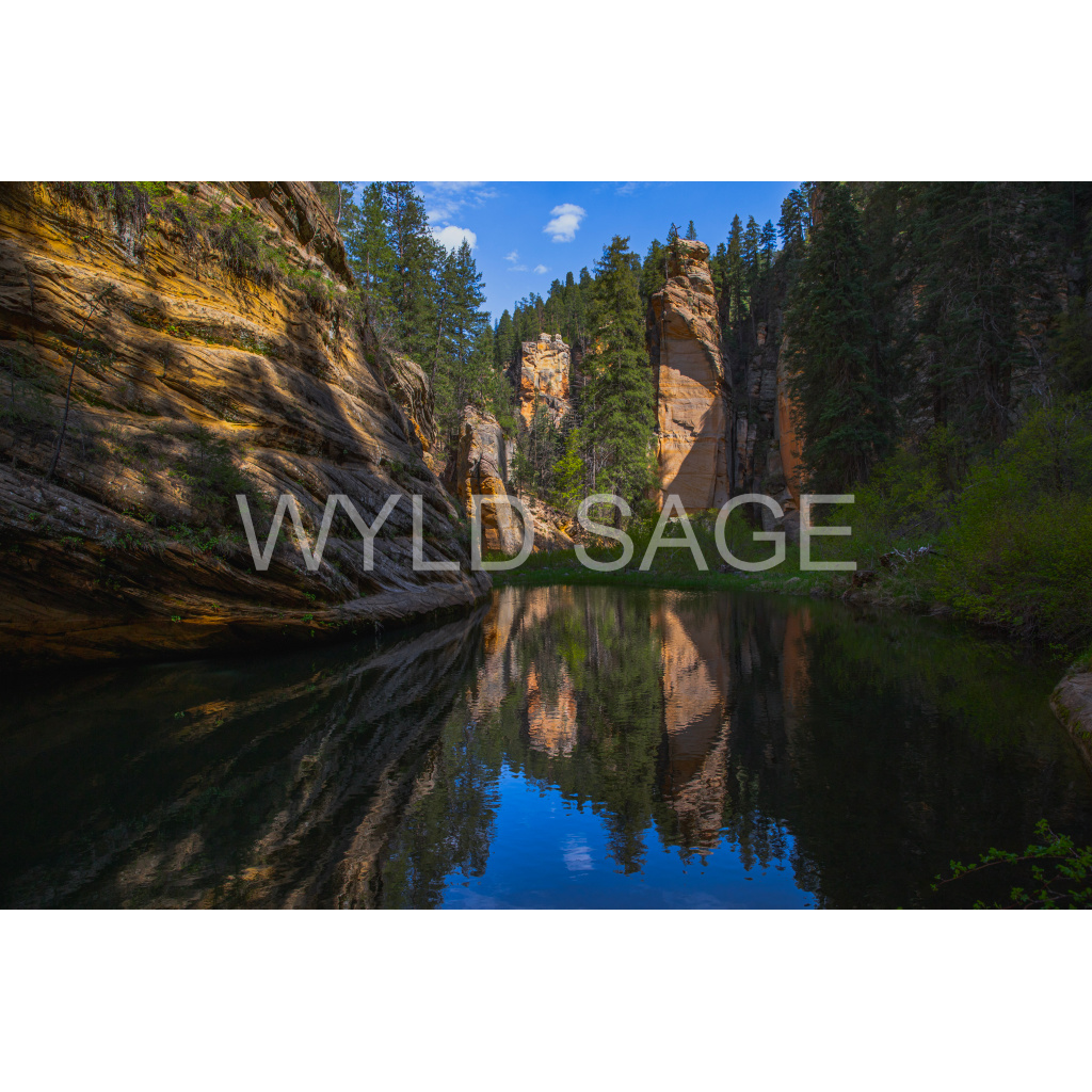 image_original_6d174a8e7ee588b844c129d62a122425.png