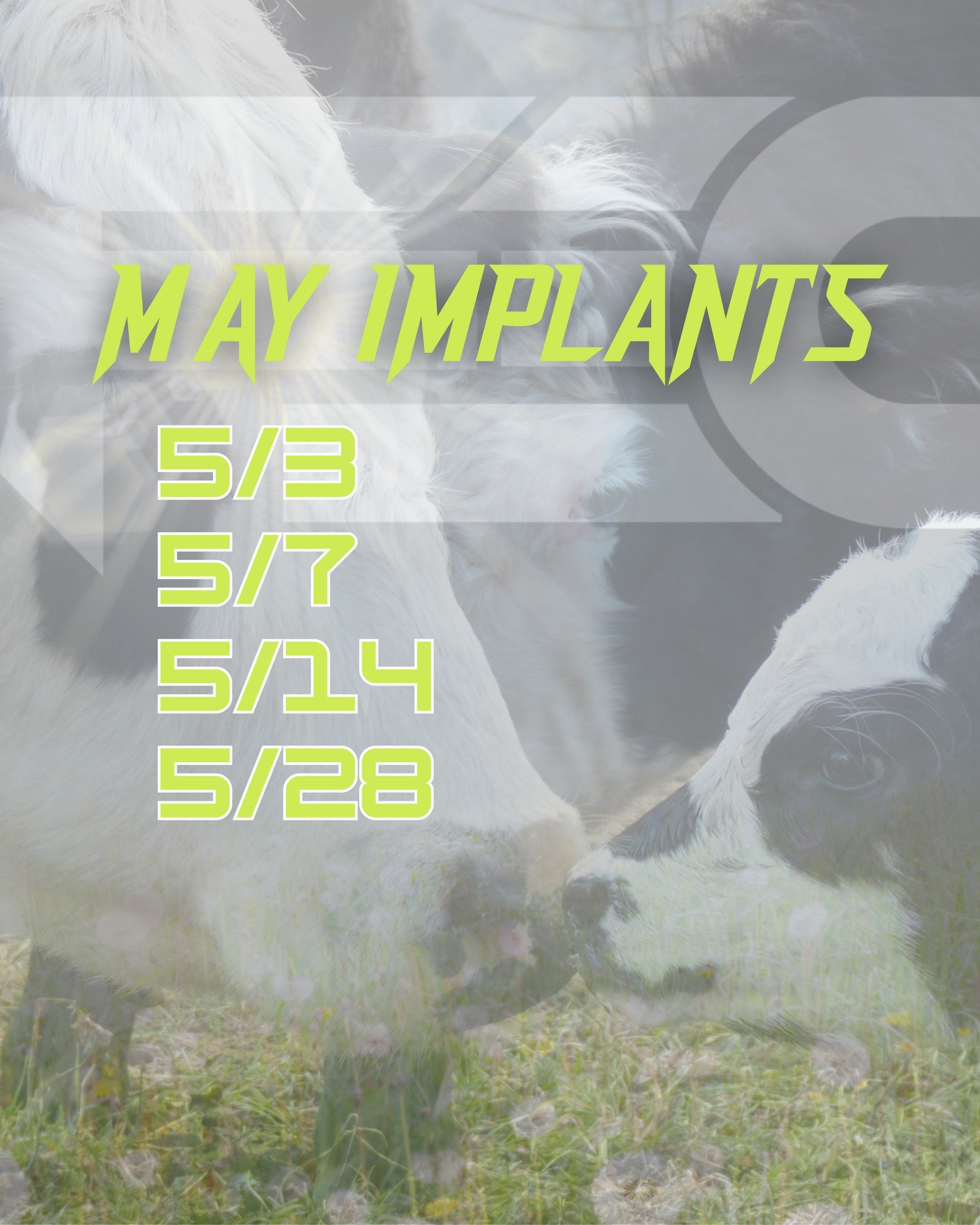 Looking to Calve in February 2026?

We&rsquo;ve got a few 60-Day Pregnant Recip spots left for May 3rd implants&mdash;but they&rsquo;re going fast.

May Implant Dates:
📅 May 3, Due 2/9
📅 May 7, Due 2/13
📅 May 14, Due 2/20
📅 May 28, Due 3/6

If Fe
