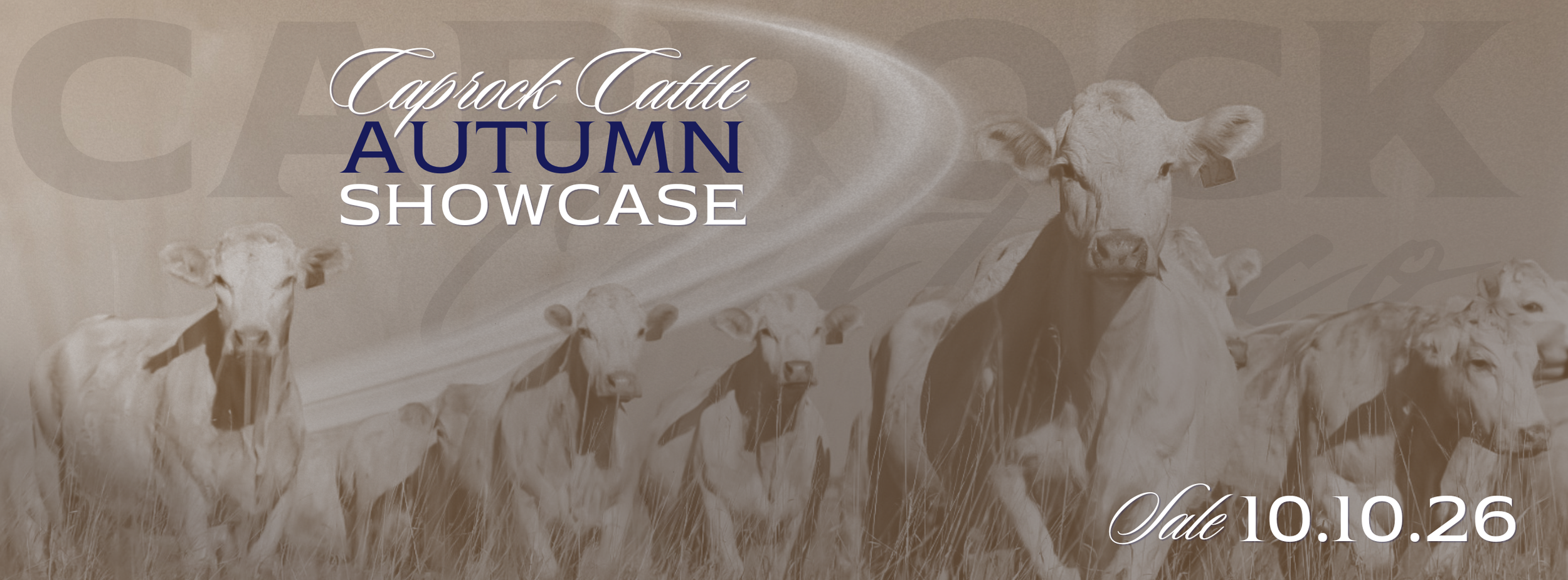 Caprock Cattle Autumn Showcase