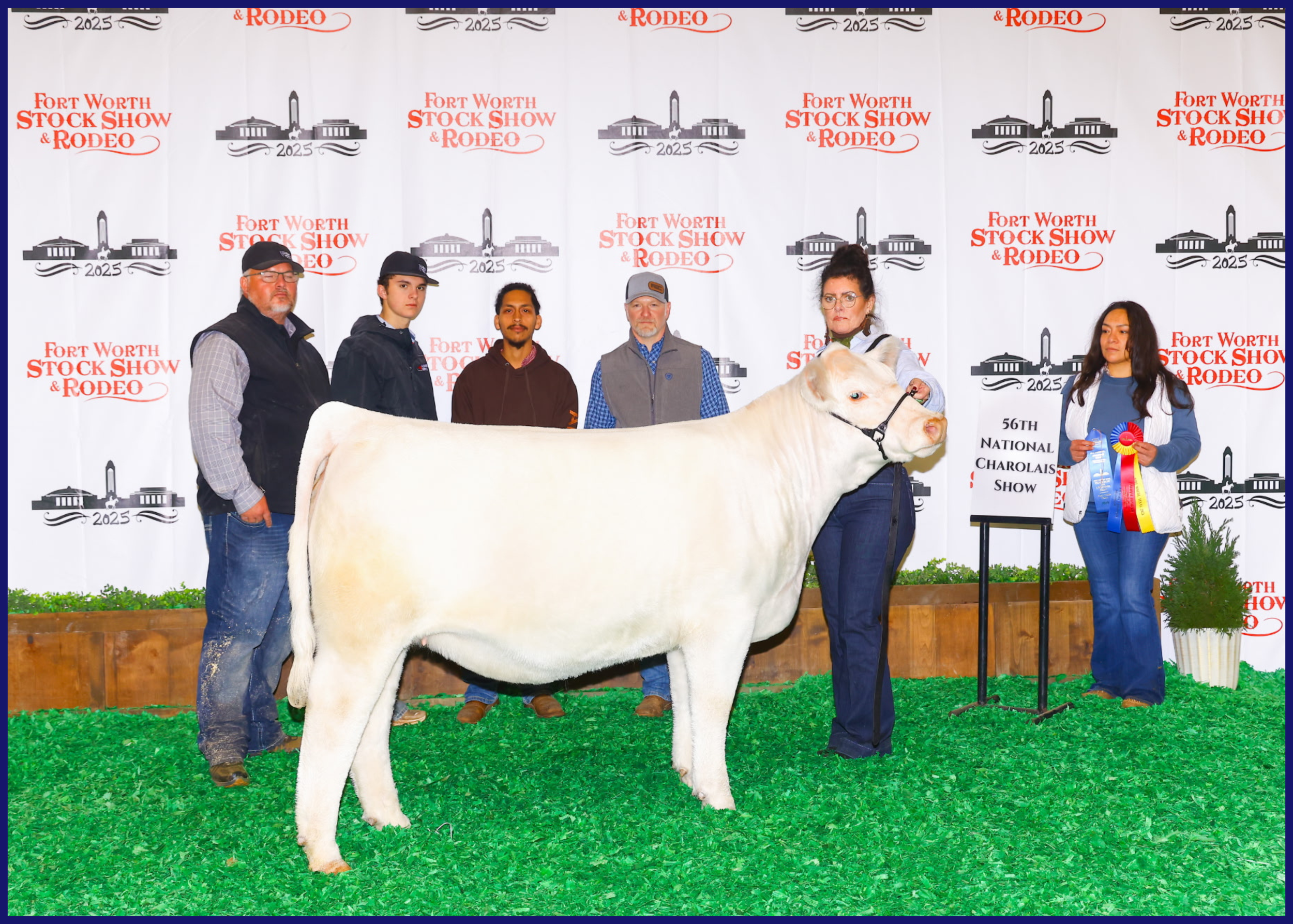 Group of people at Fort Worth Stock Show & Rodeo with white Charolais cow and awards displayed.