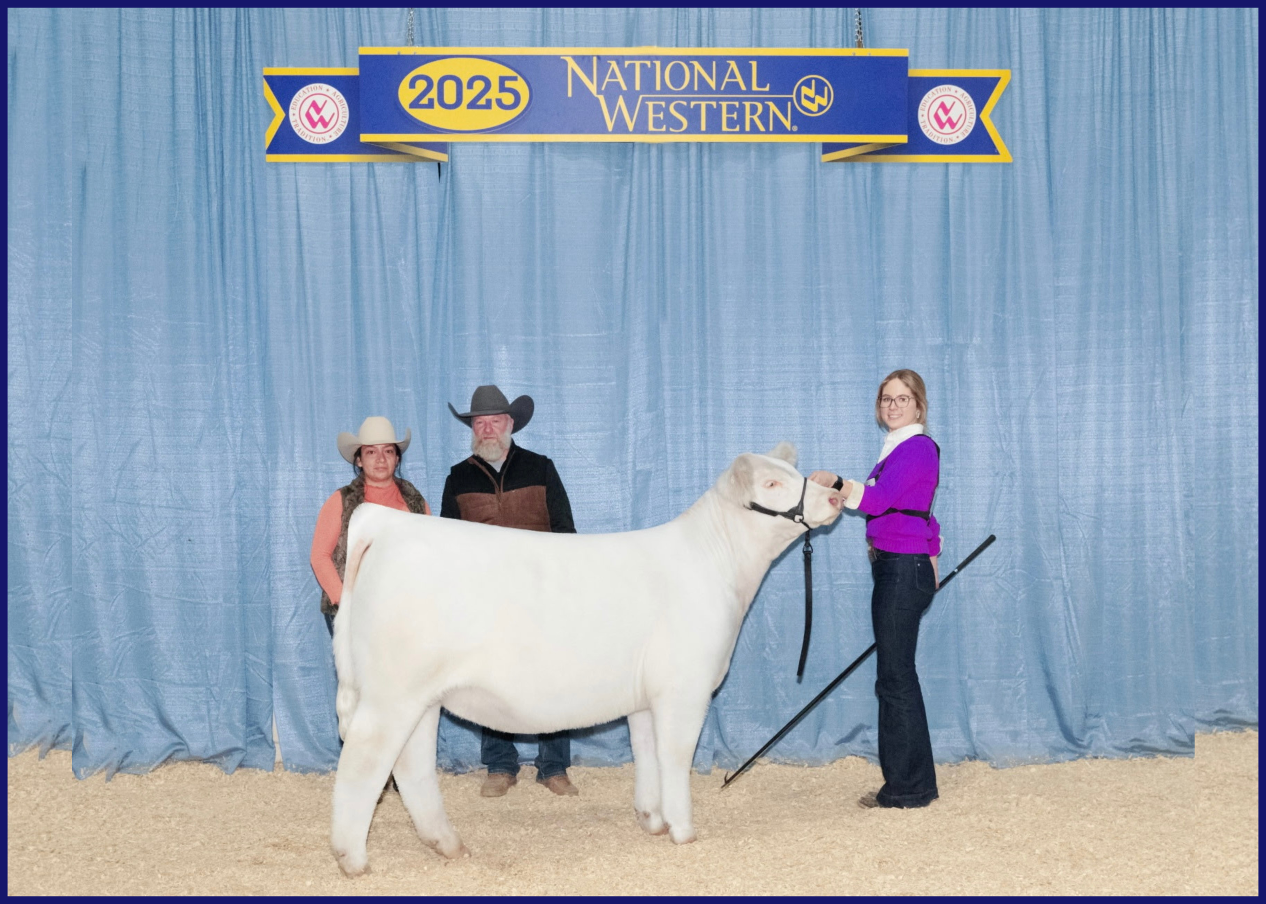 Three people and a white calf at the 2025 National Western livestock show.