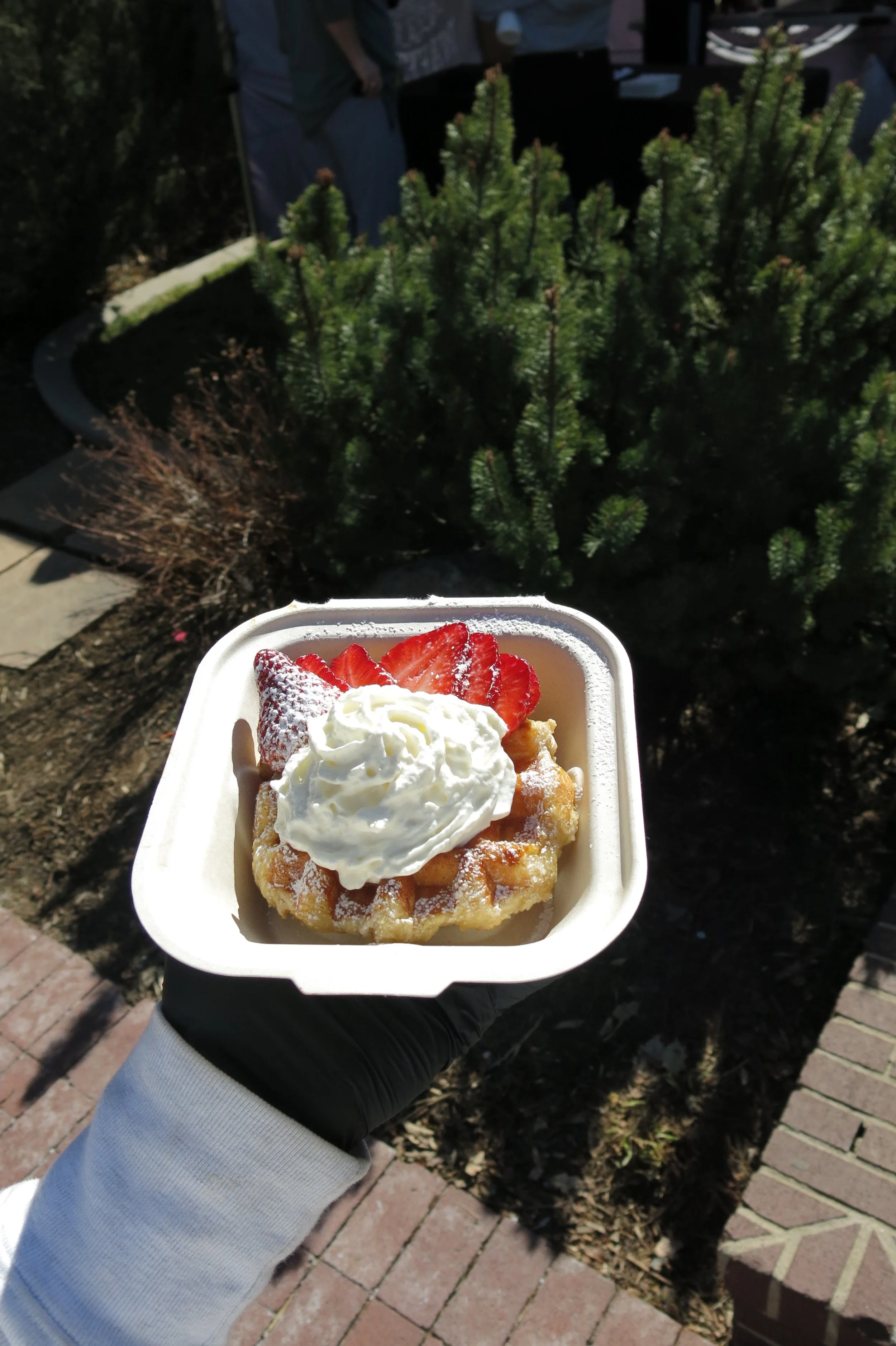 A Belgian waffle topped with sliced strawberries and whipped cream in a disposable tray, held by a person wearing a glove, outdoors with greenery in the background.