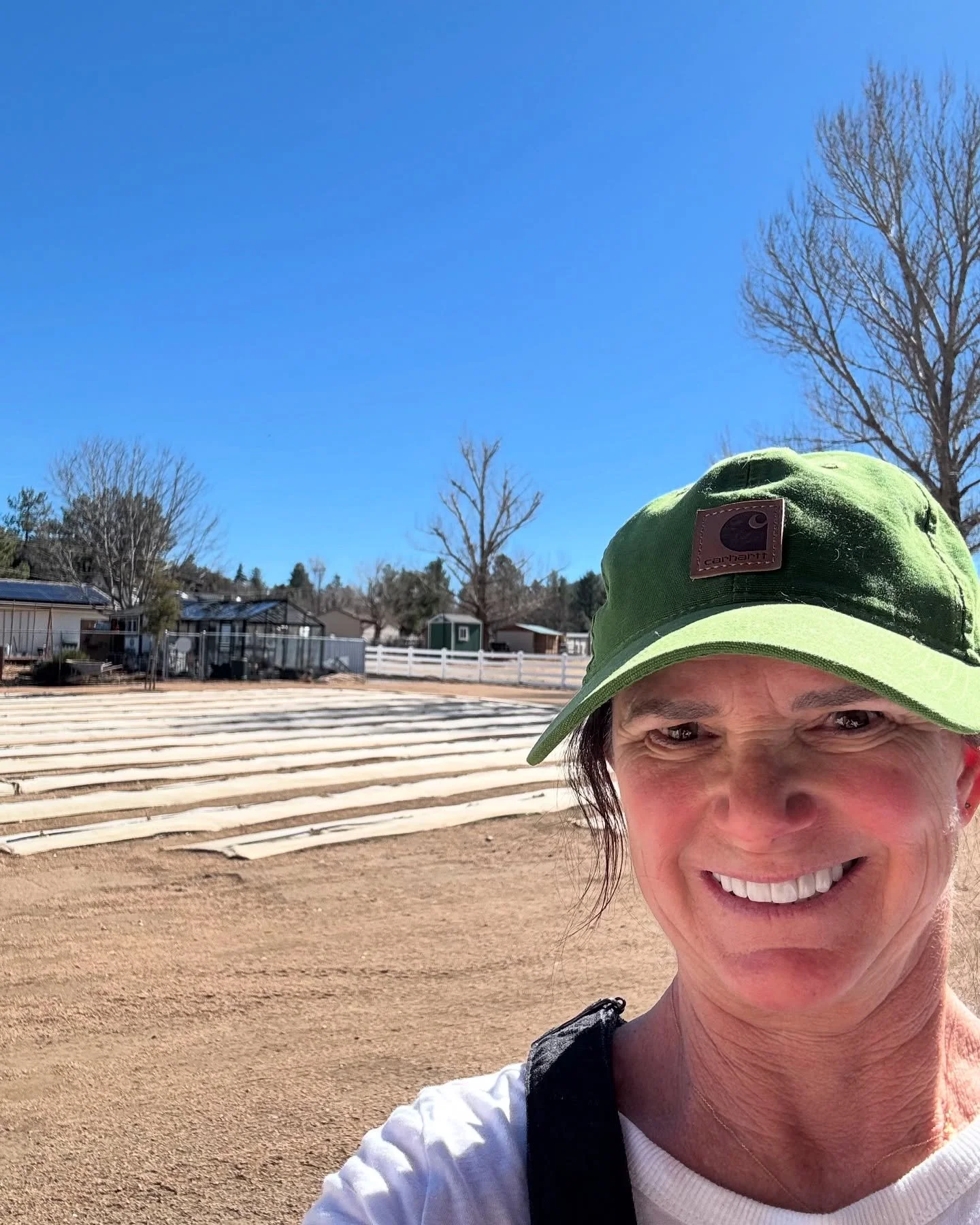 Beautiful day to sterilize seed starting and soil blocking supplies! Almost feels like spring 🐞
