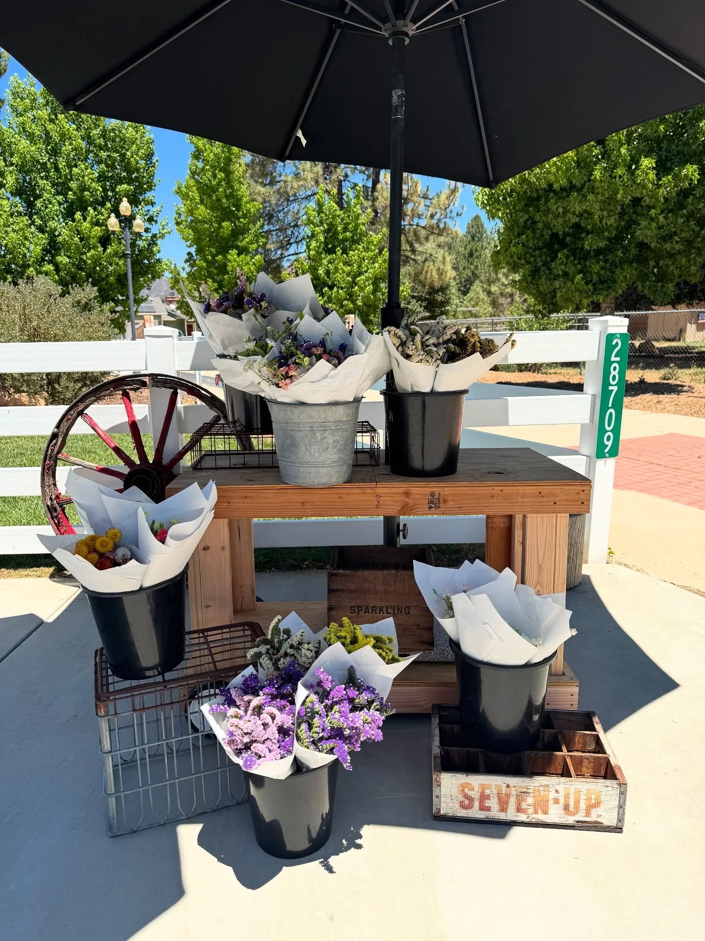 The Ladybug Farm flower stand is OPEN! 

28709 Deer Creek Trail in Pine Valley

We have a limited supply of mixed bouquets and single variety bunches, $10-$20 while they last! 

Brighten up your home with fresh flowers grown here in Pine Valley. 

We