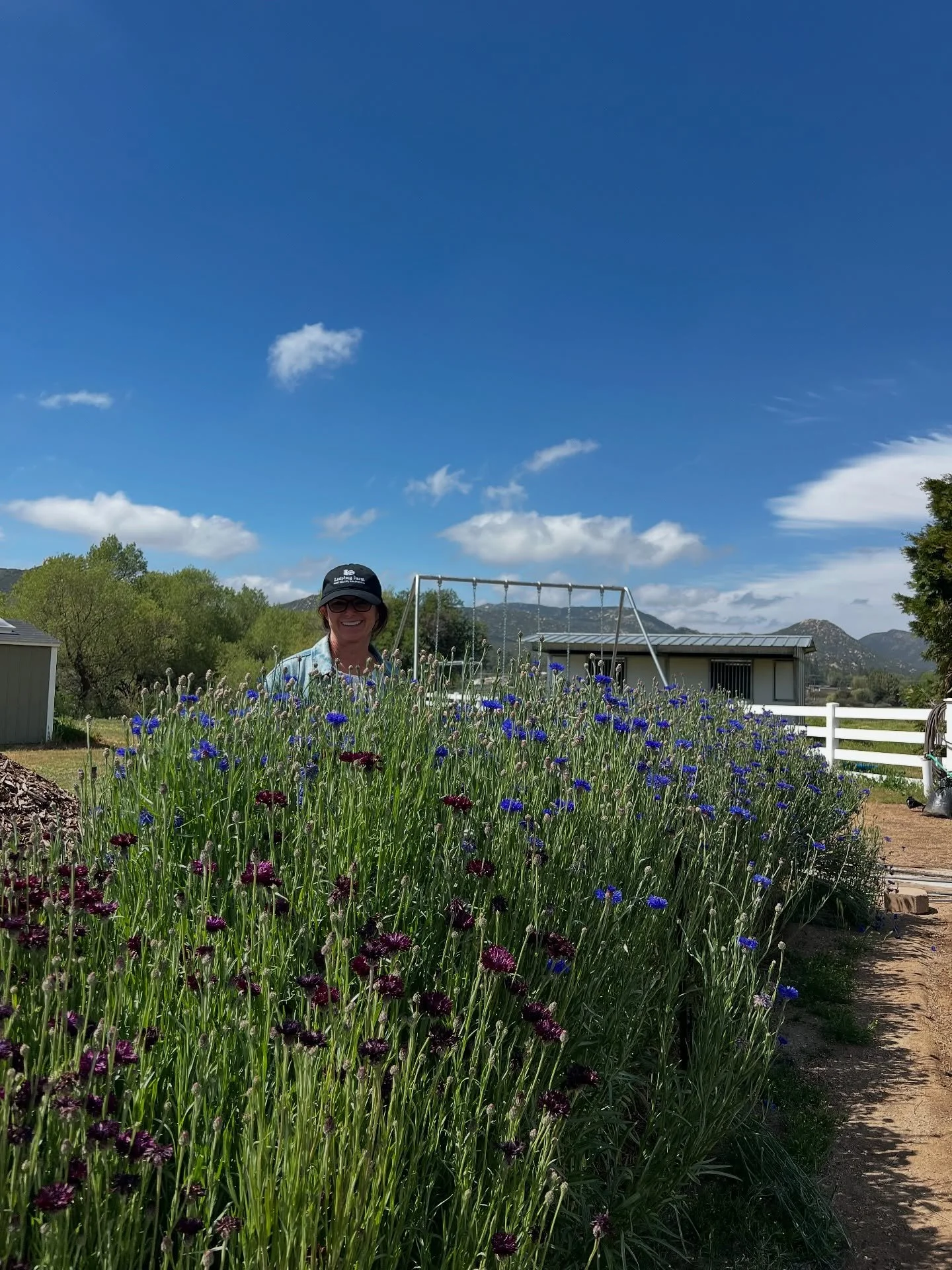 Hey new followers! 👋 

For those of you who don&rsquo;t know me, my name is Jeannie. I was born and raised in San Diego and spent a lot of my childhood exploring the east county mountains. 

Ladybug Farm is a celebration of what this beautiful regio