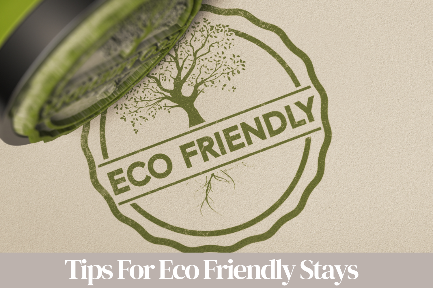 How to Create a Sustainable Rental
