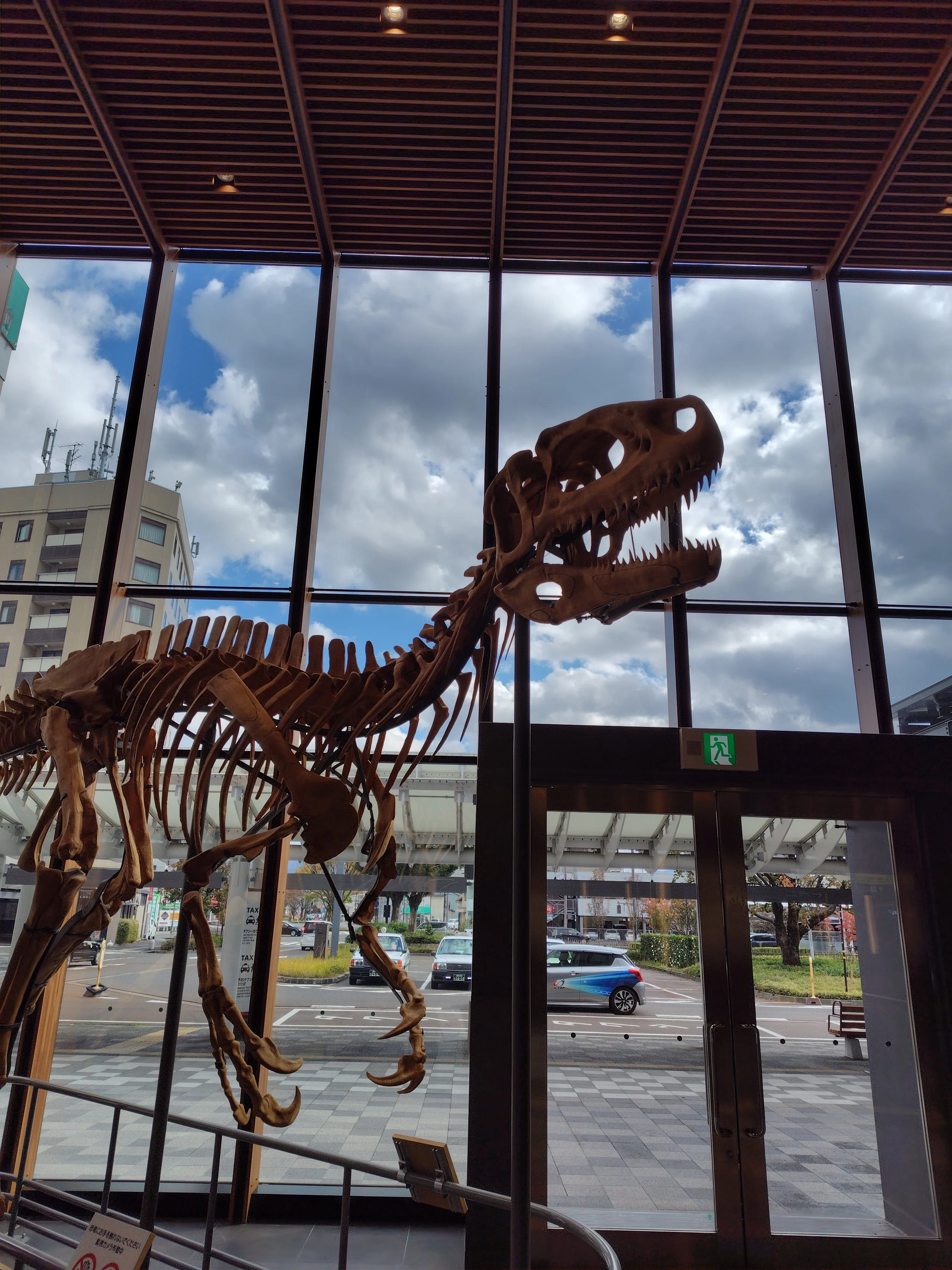 科研費領域会議で発表しました