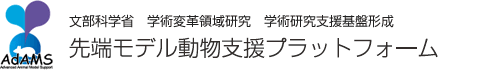 先端モデル支援(AdAMS)対象に採択されました