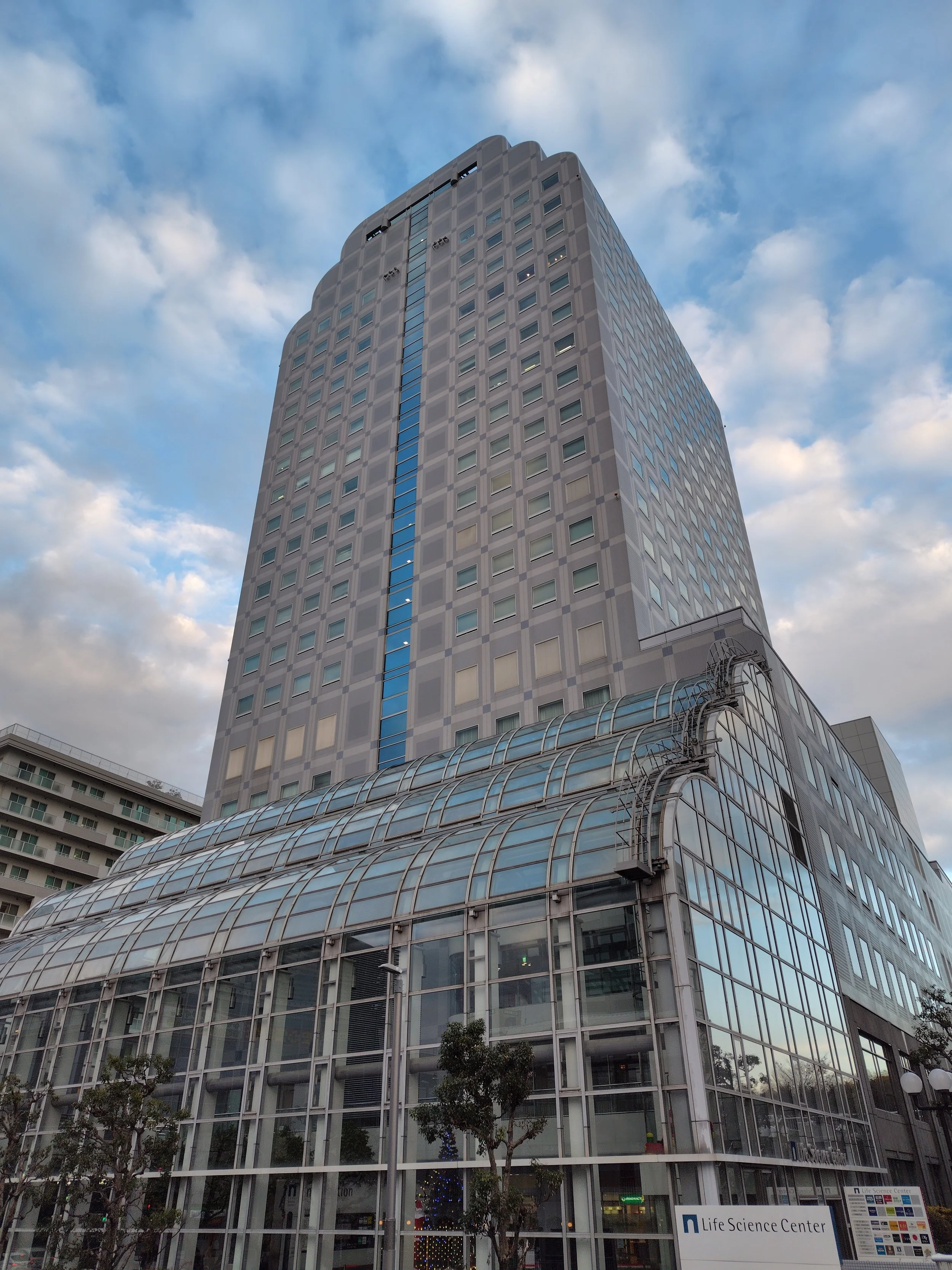 「老化」AMEDさきがけ合同領域会議で発表しました