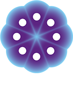 「幹細胞と未病」シンポジウム at 再生医療学会(2026.3.20)