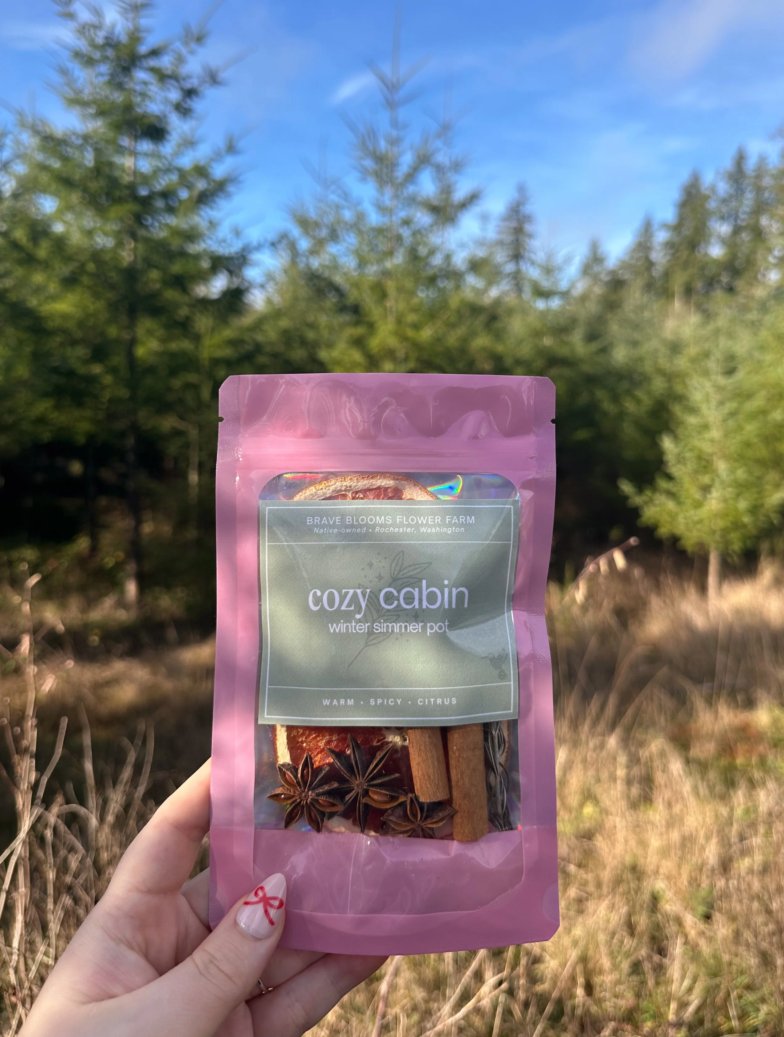 Cozy Cabin Simmer Pot