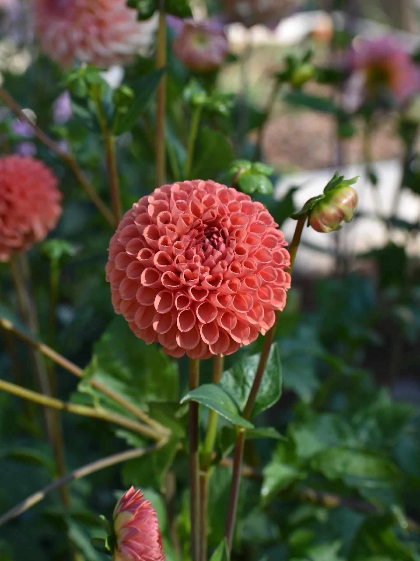 This season of gratitude has me feeling deeply thankful for this land and for the community that supports our work. We pause to honor the original caretakers of these lands and the teachings they&rsquo;ve carried through generations. Reminding us to 