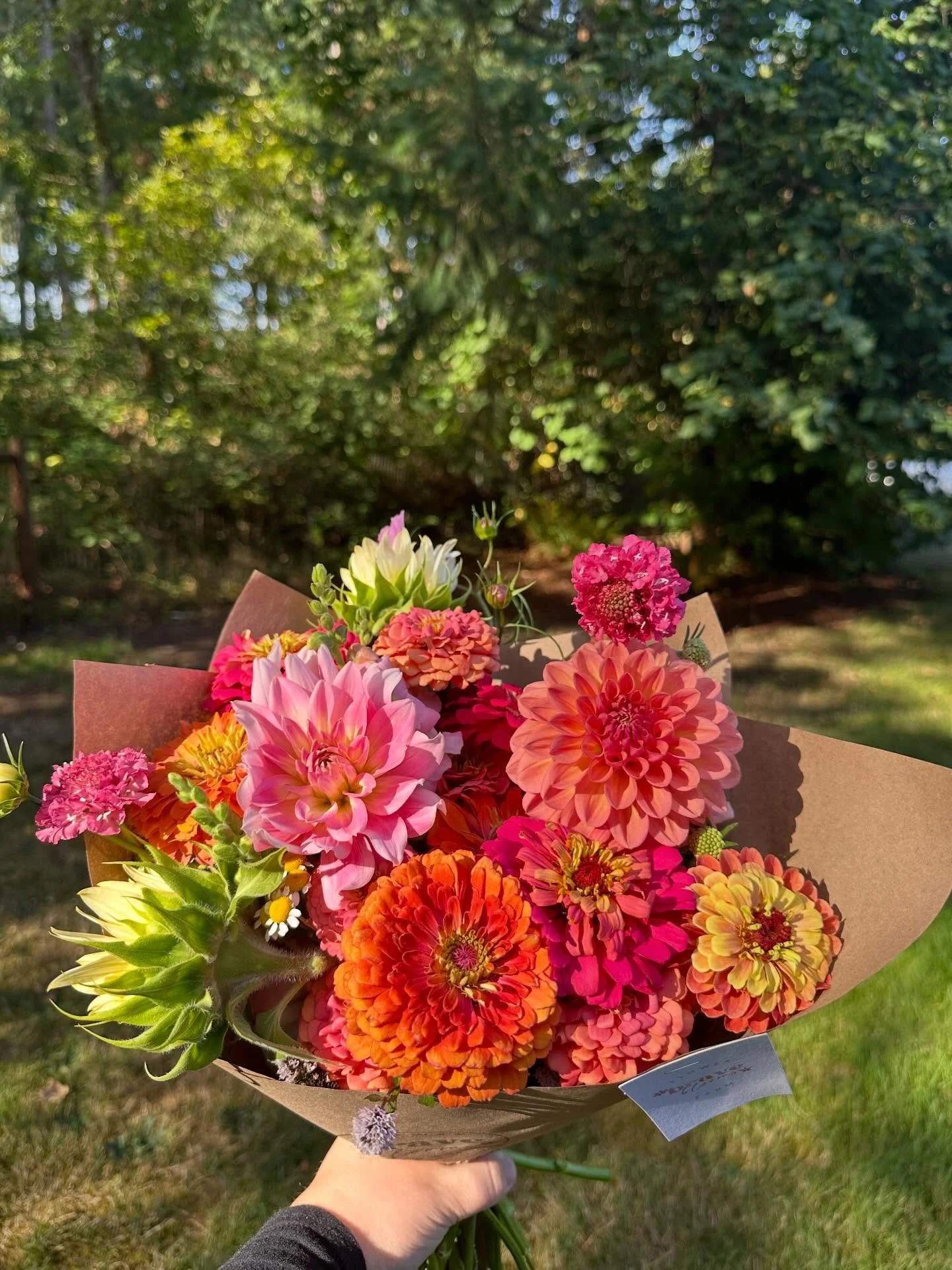 Our 2026 Flower CSA is now live + CSA Gift Certificates available 🌸

Give the gift of flowers this holiday season or treat yourself! Our 2026 CSA shares are officially open, and for the first time you can also purchase CSA Gift Certificates to gift 