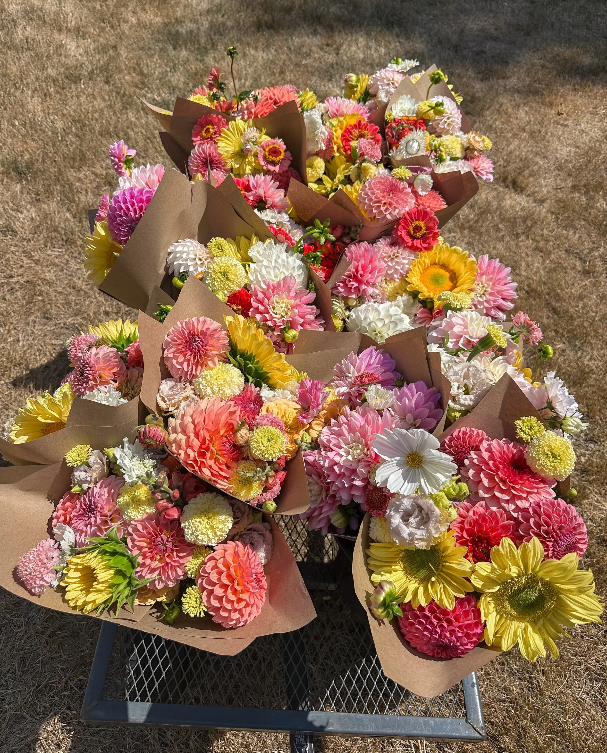 CSA days 🌸✨

Buckets of flowers, an assembly line of bouquets, and a car packed to the brim lol

A little behind the scenes of getting this week&rsquo;s bouquets out the door!