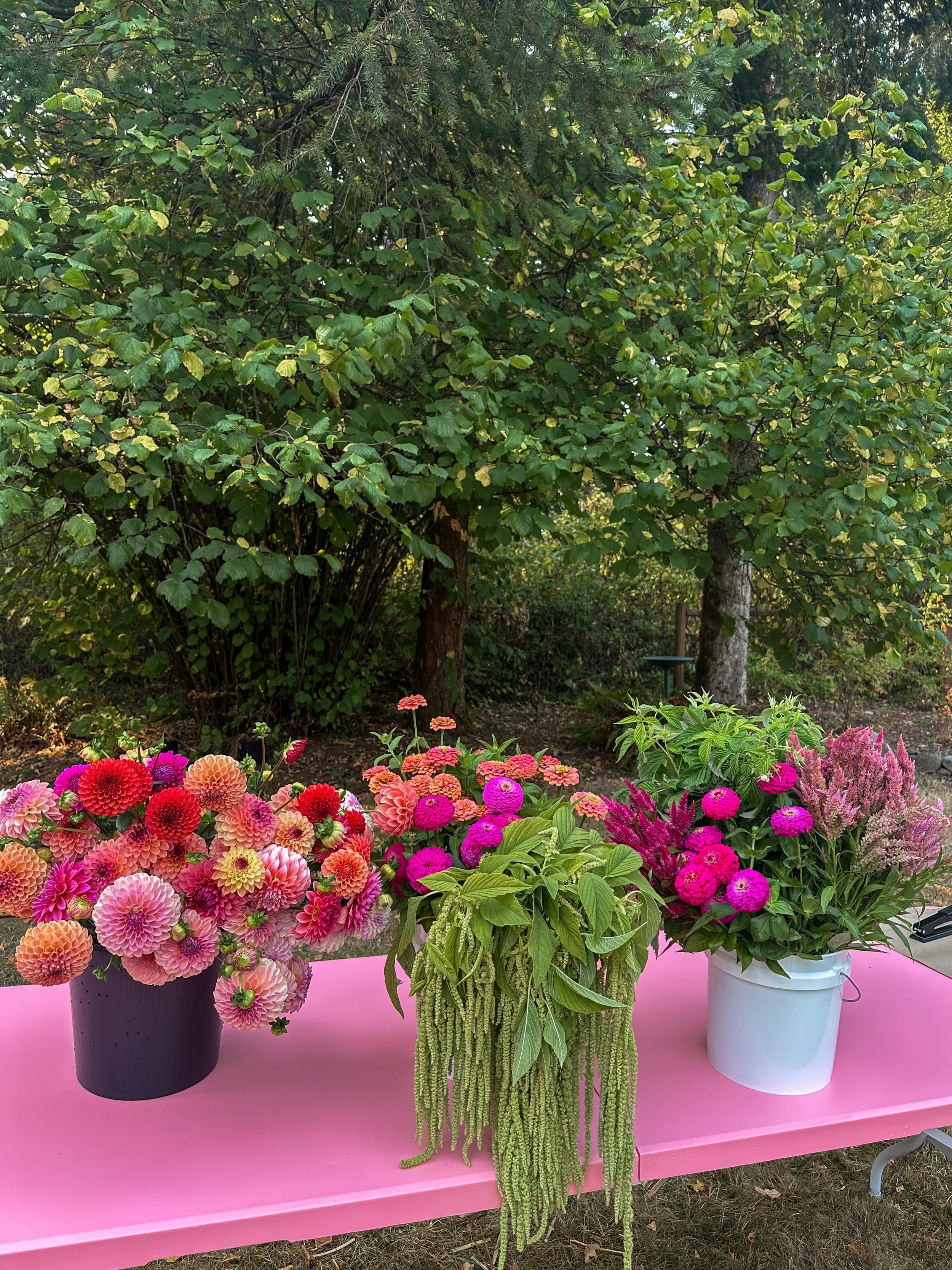 And that&rsquo;s a wrap on CSA season 💫🌸

Our final Summer CSA bouquets have officially been delivered!