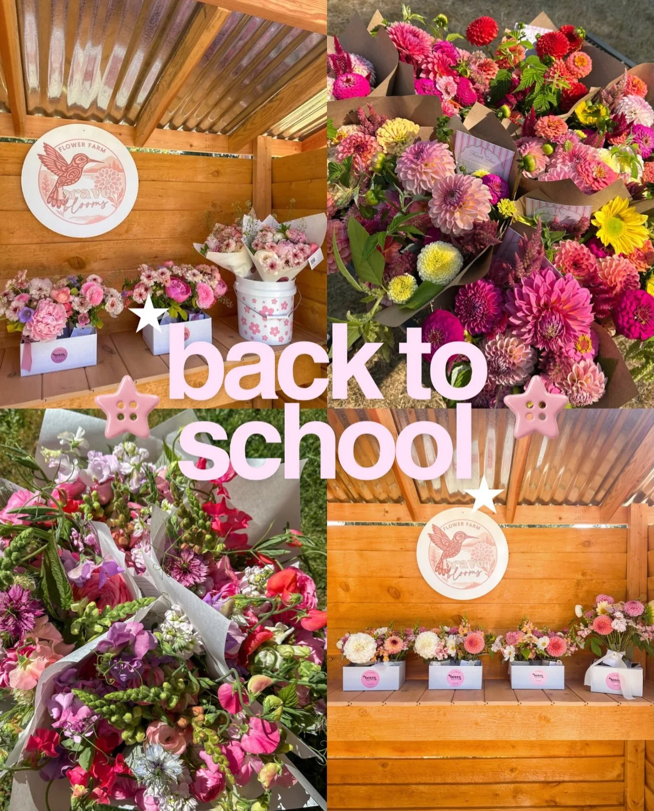 Hard to believe August is almost over + back-to-school season is here! 🥹✏️

Back-to-school bouquets &amp; arrangements are available to order through our website! 💕📚