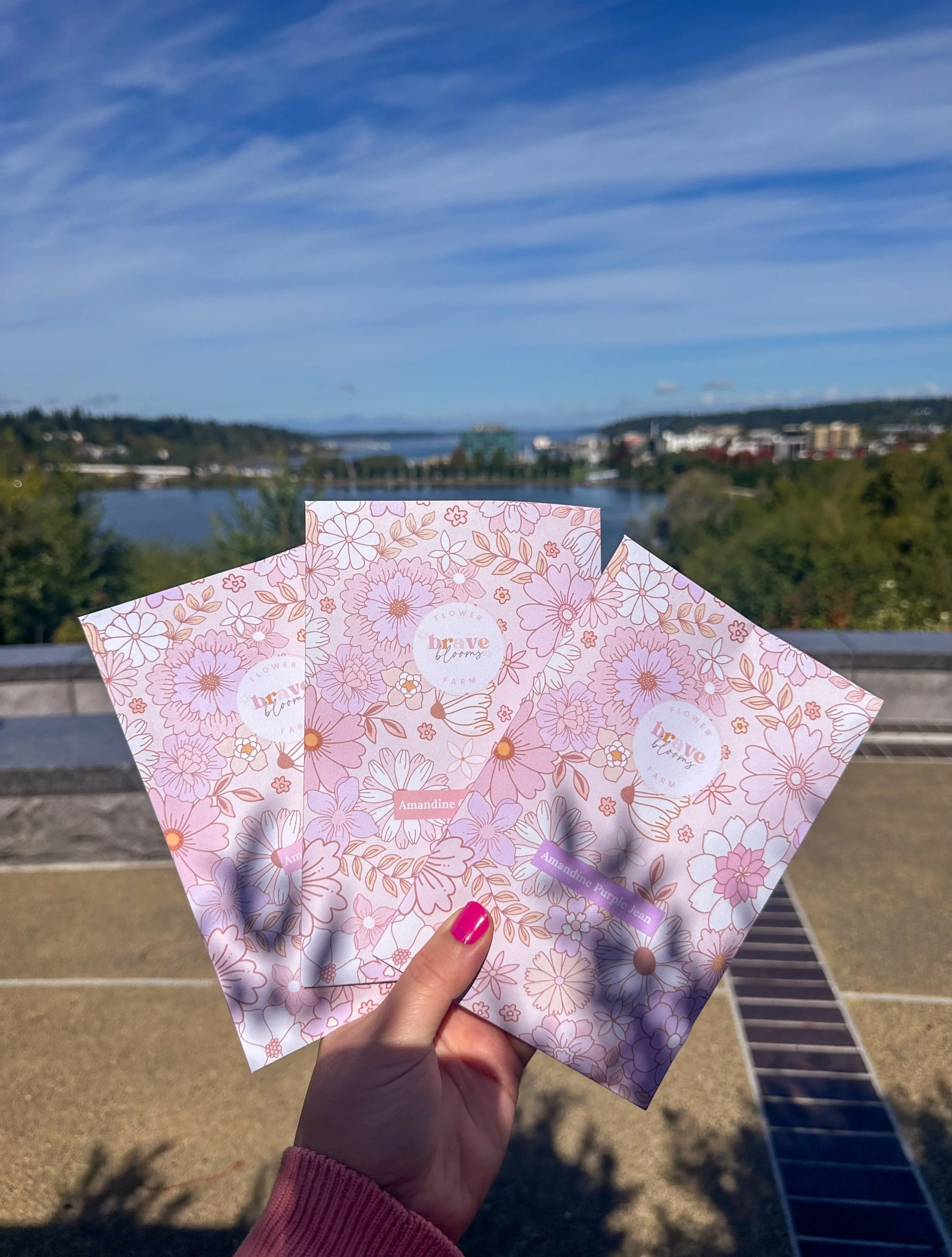 GIVEAWAY TIME! 🌸

To celebrate our Ranunculus Sale launching this Monday, we&rsquo;re giving one lucky winner an Amandine Ranunculus Sampler Collection featuring Porcelain, Purple Jean, and Chamallow!

To enter:
🌸 Follow @bravebloomsflowerfarm
🌸 L