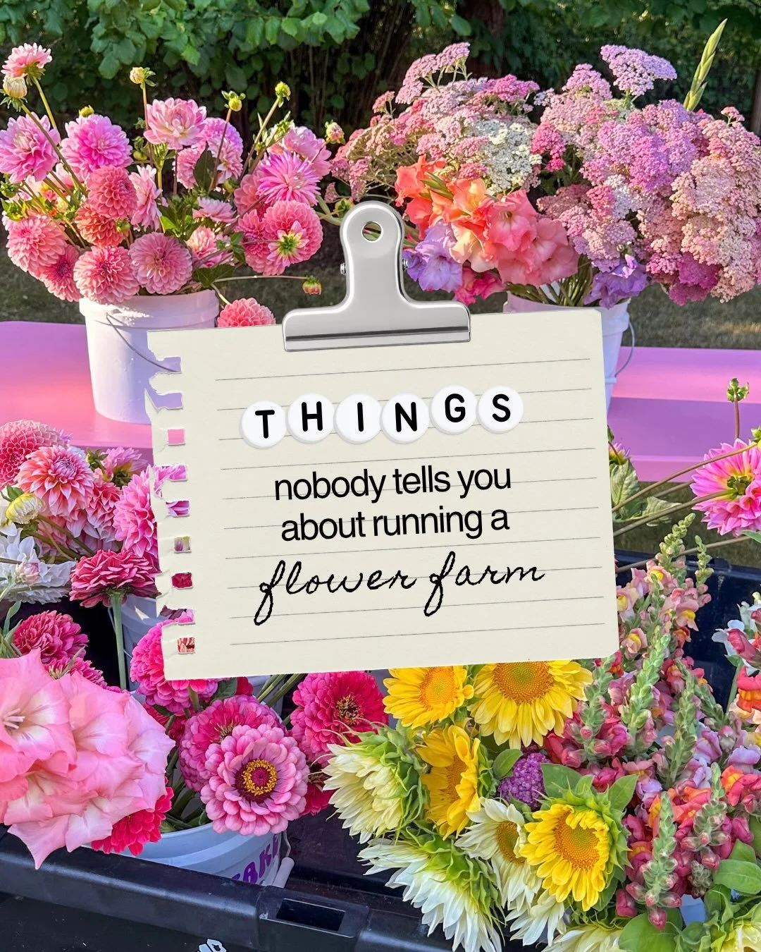 The flowers are pretty. The reality of growing them? A whole different story 😅

With our 2026 flower season officially coming to an end, I thought I&rsquo;d share a few things I&rsquo;ve learned along the way.

It&rsquo;s been our biggest (and busie