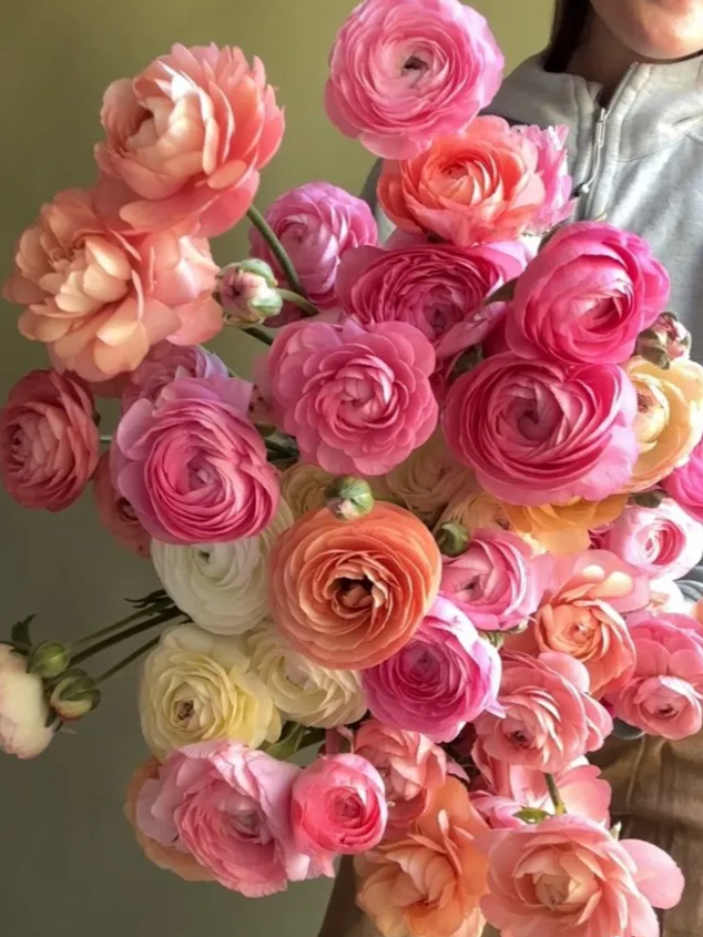 village-dolce-vita copy.png