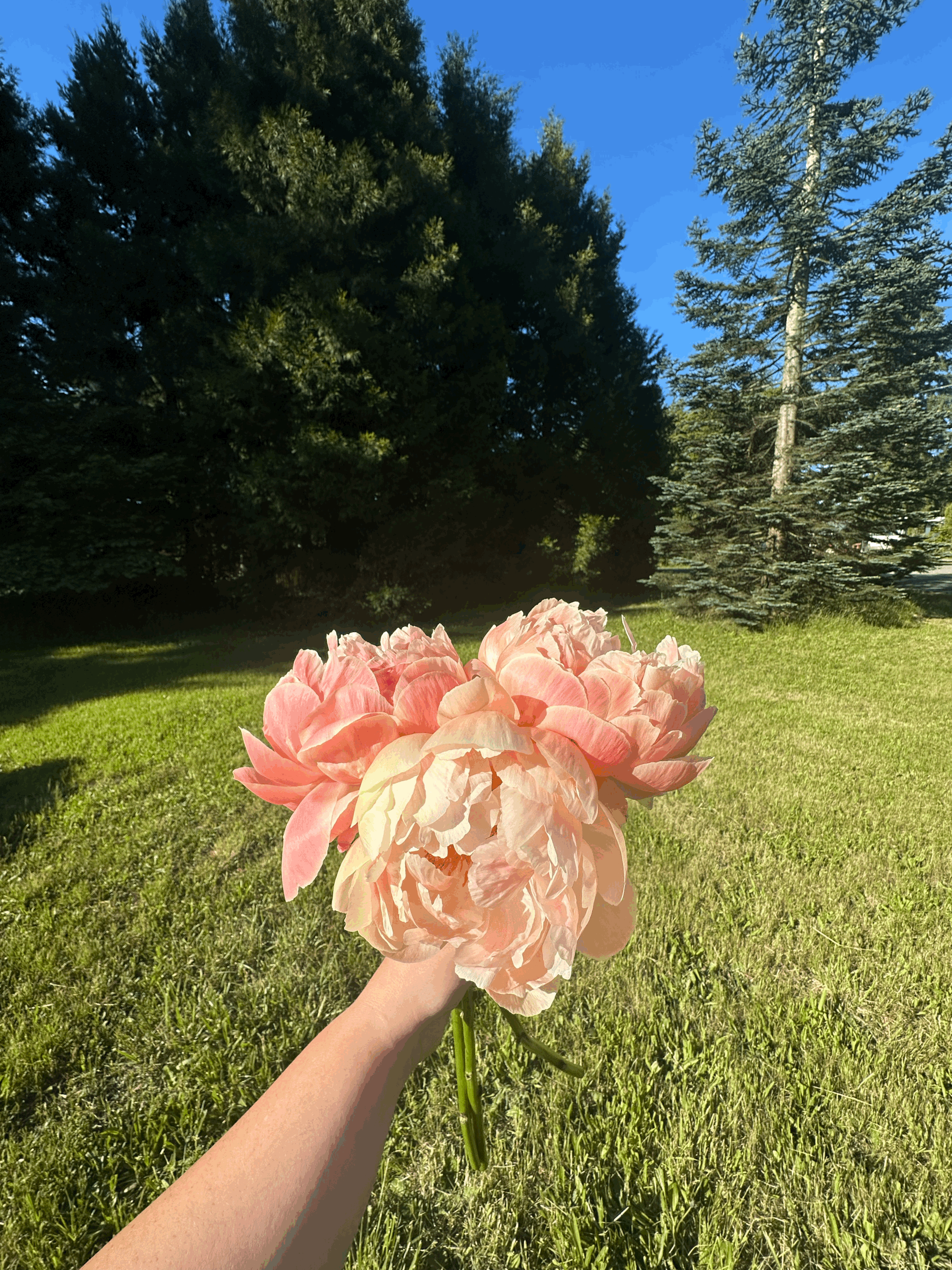 tempImagerLUwP3.gif