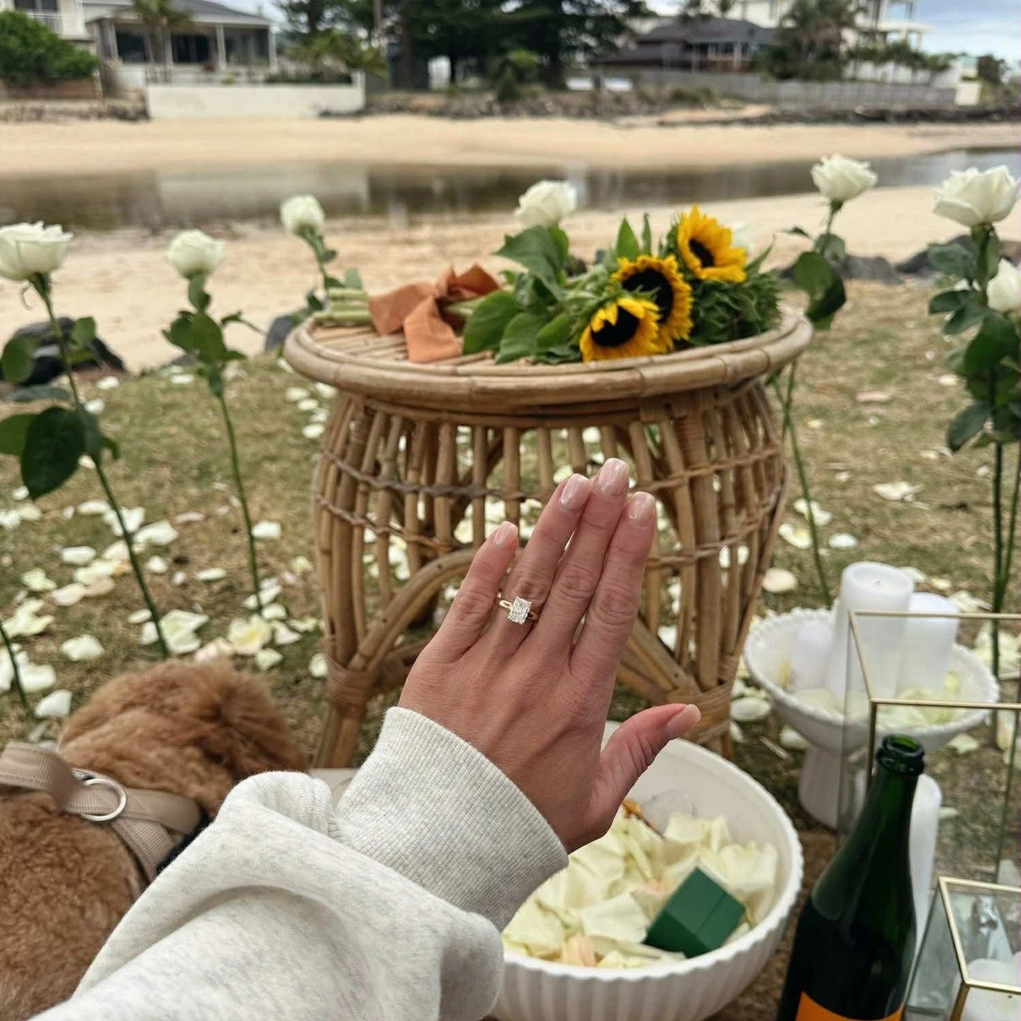 Just Engaged?? Congratulations! What an exciting and beautiful chapter of your life.. so you may be thinking, what's next? That is what I am here for!

Blog link in bio.