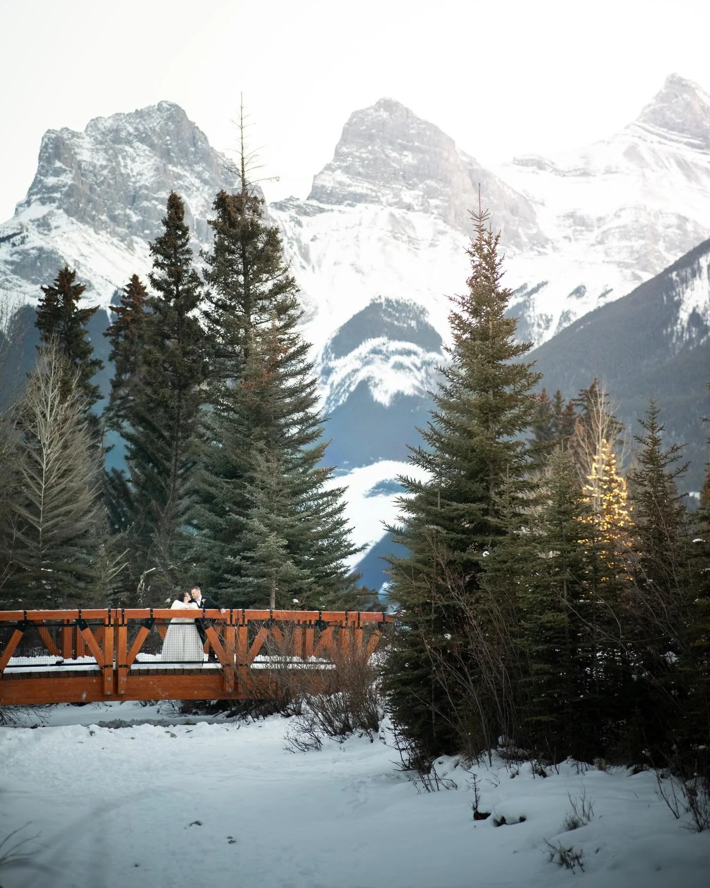 🏔️😎💍📸❄️🥰🎉

#winterwedding 

E + M&rsquo;s Vendors:
Planning + Coordination: @harrygeorgeweddings 
Photo: @kallarambergphotography 
Hair + Makeup: Freddy + Chelsea @liliesandlacebeautyco 
Cake: @kakebydarci 
Venue: @malcolmhotelcanmore 
Bench + 