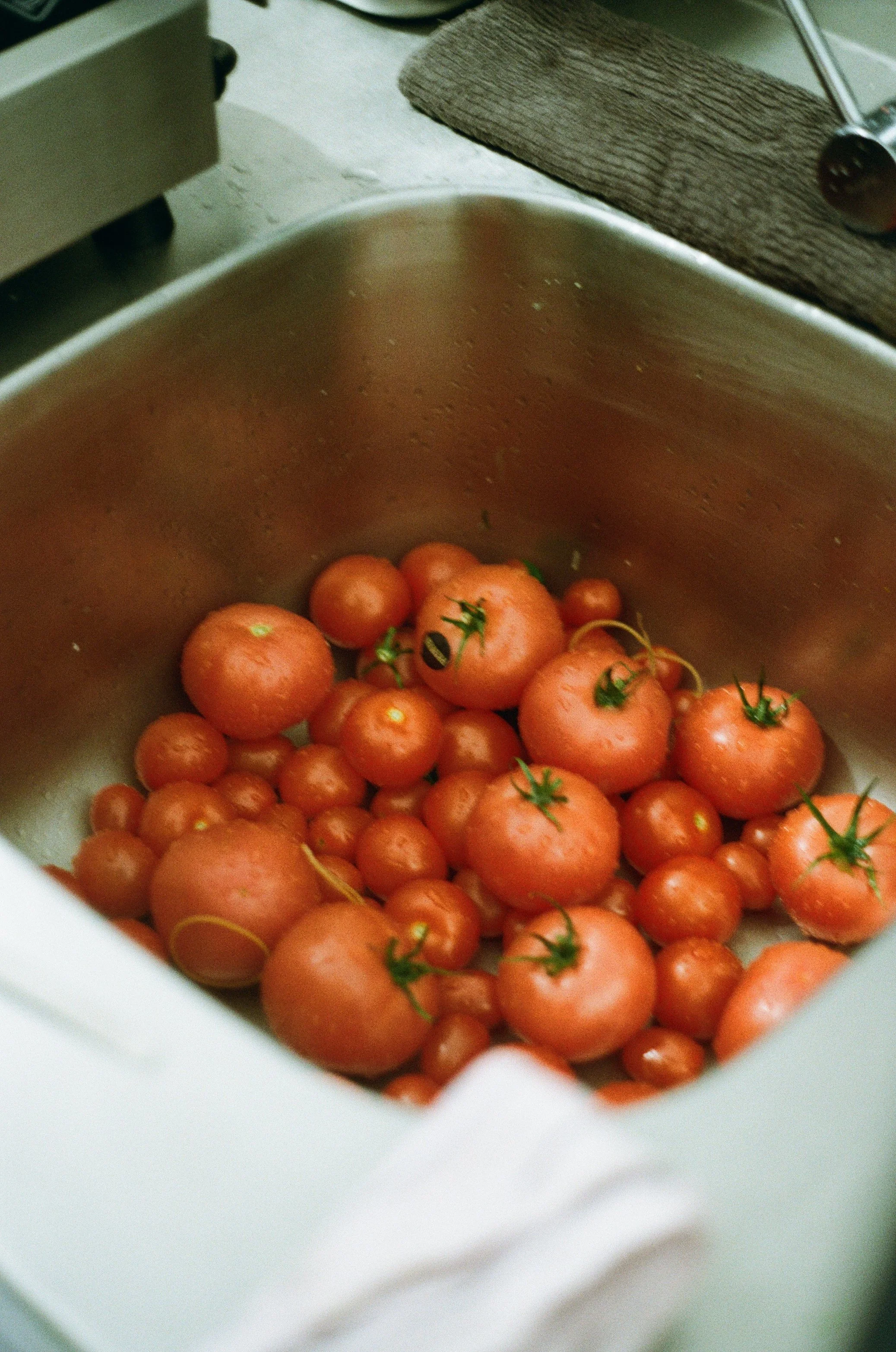 Pink cherry tomatoes inside a white container with a wooden cutting board and a metal kitchen utensil visible in the background.