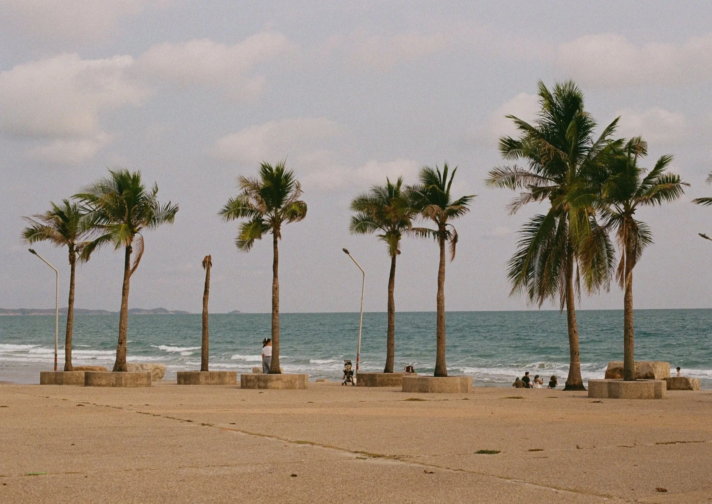 A beach scene with a row of palm trees in the foreground, some people sitting and standing near the shore, and the ocean with waves in the background. Overcast sky with scattered clouds.