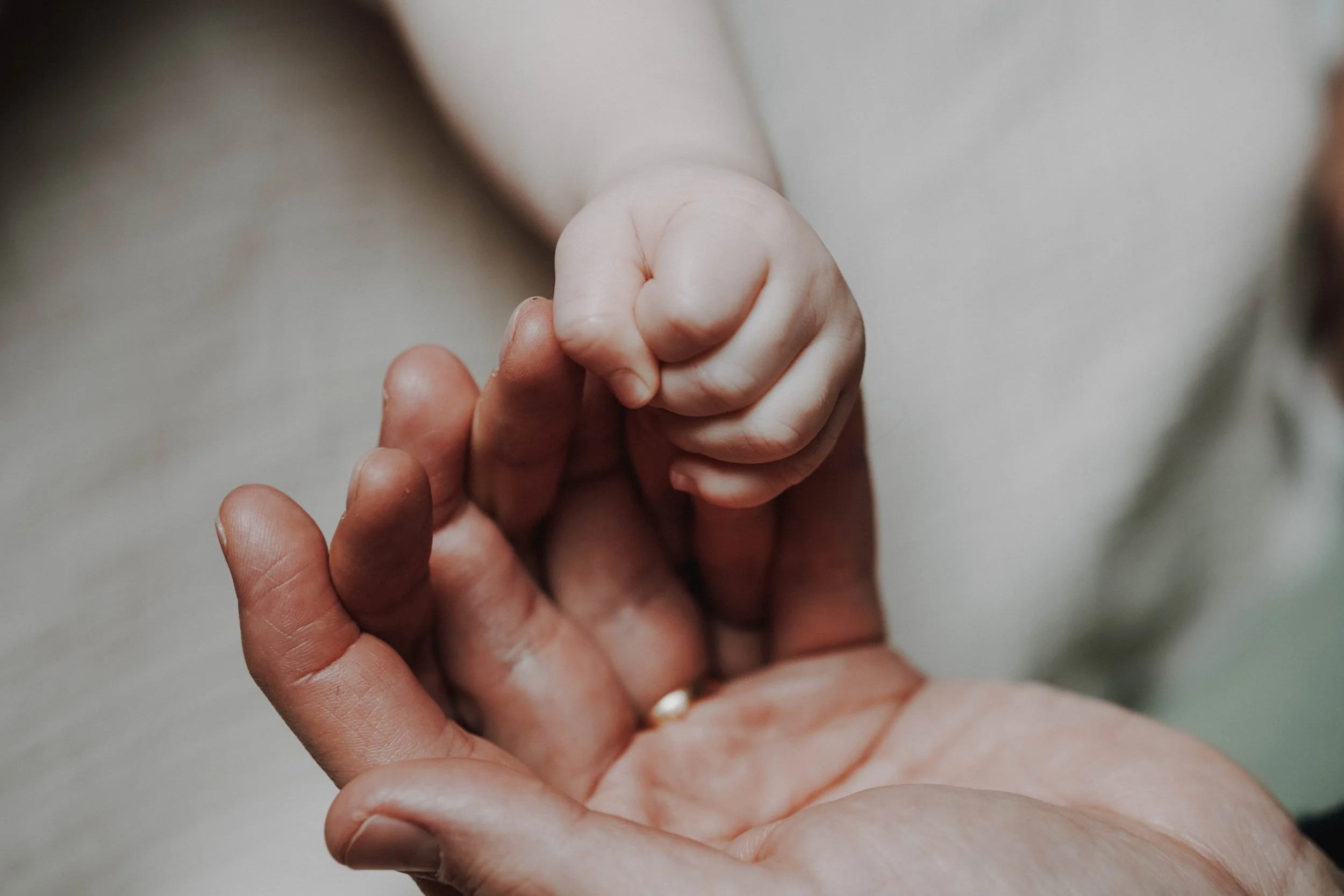 Nahaufnahme eines kleinen Kinderhändchens, das einen größeren Erwachsenenhand greift.