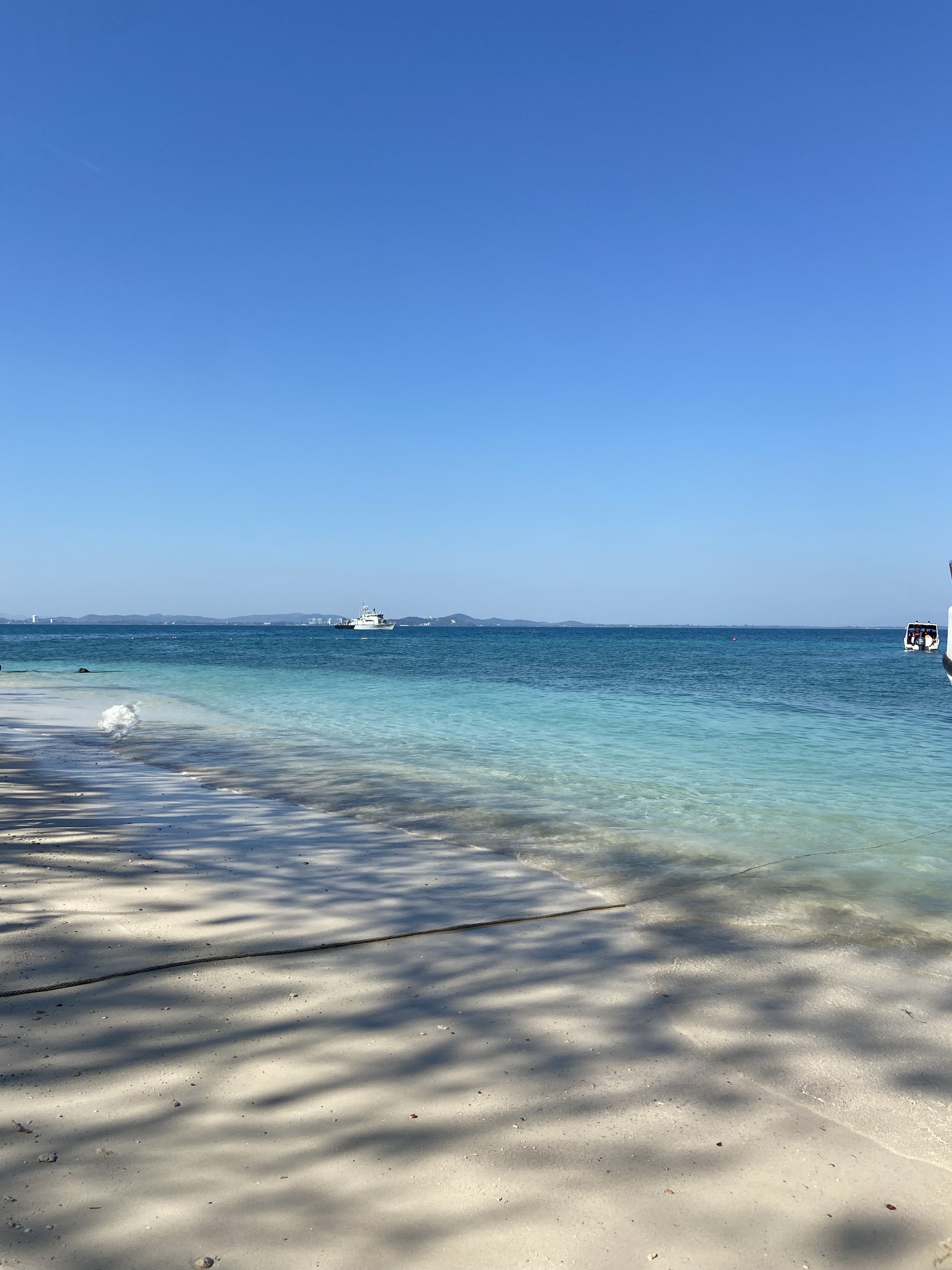 IMG_5667.jpeg