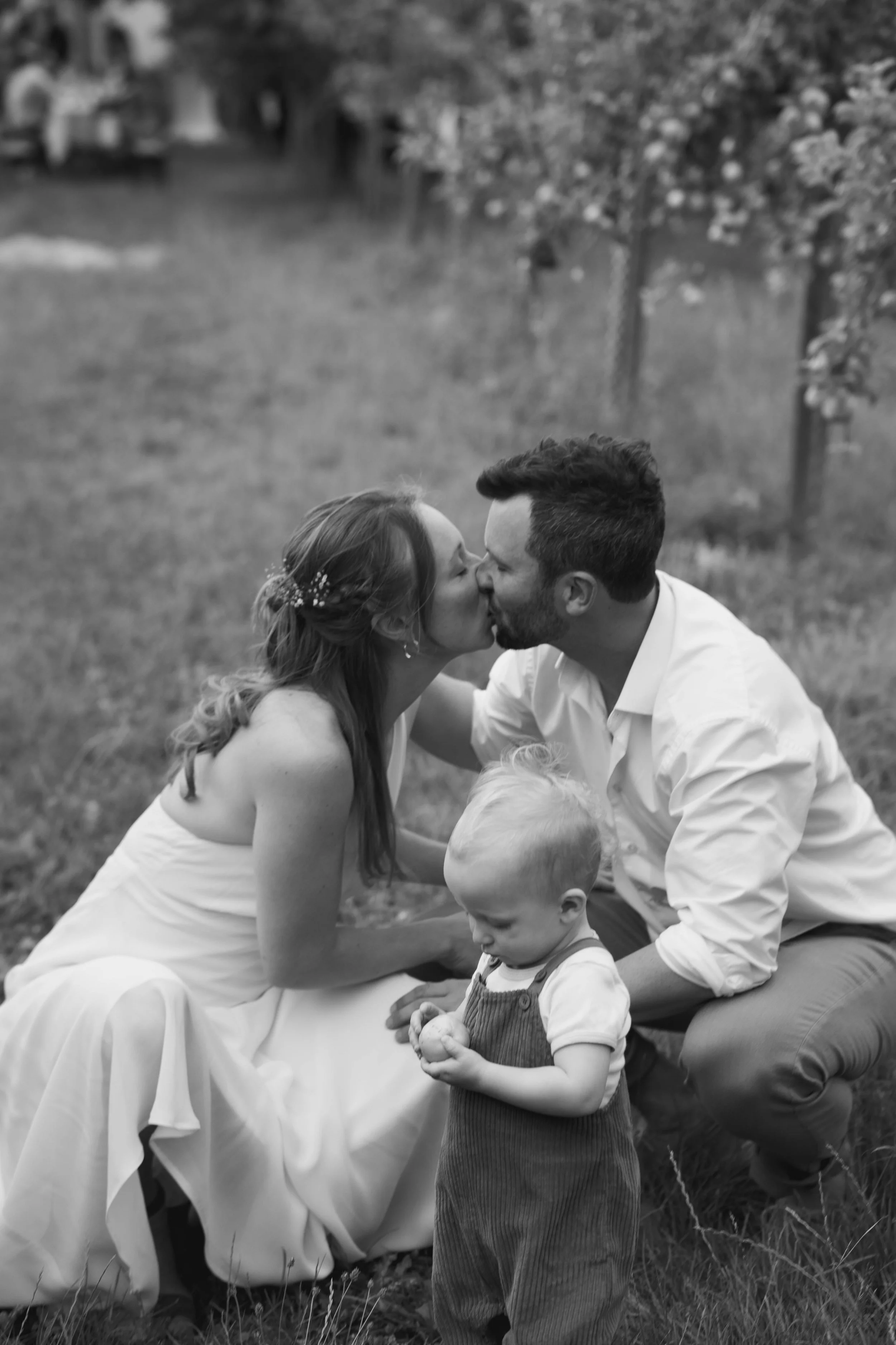 A & P - SUMMER WEDDING RECEPTION AT OBSTHOF AM STEINBERG