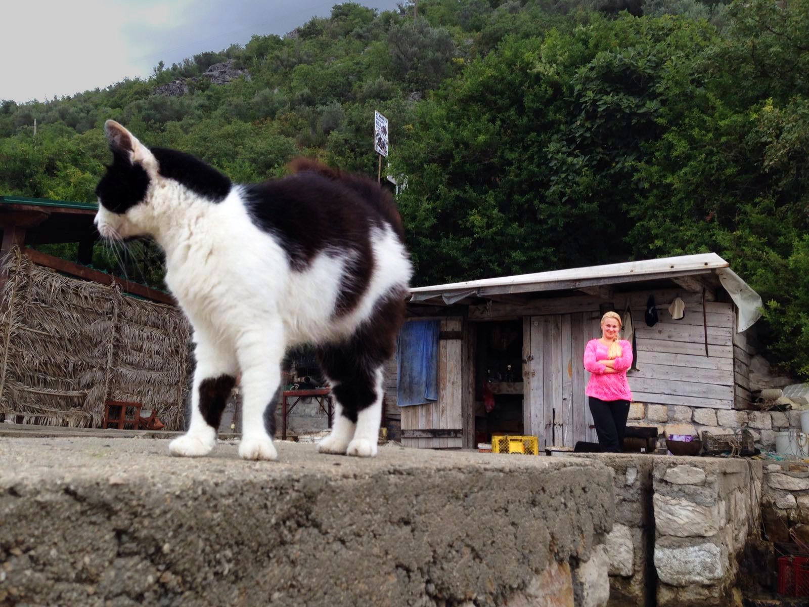 19.IMG2016828231532133872 copie.JPG