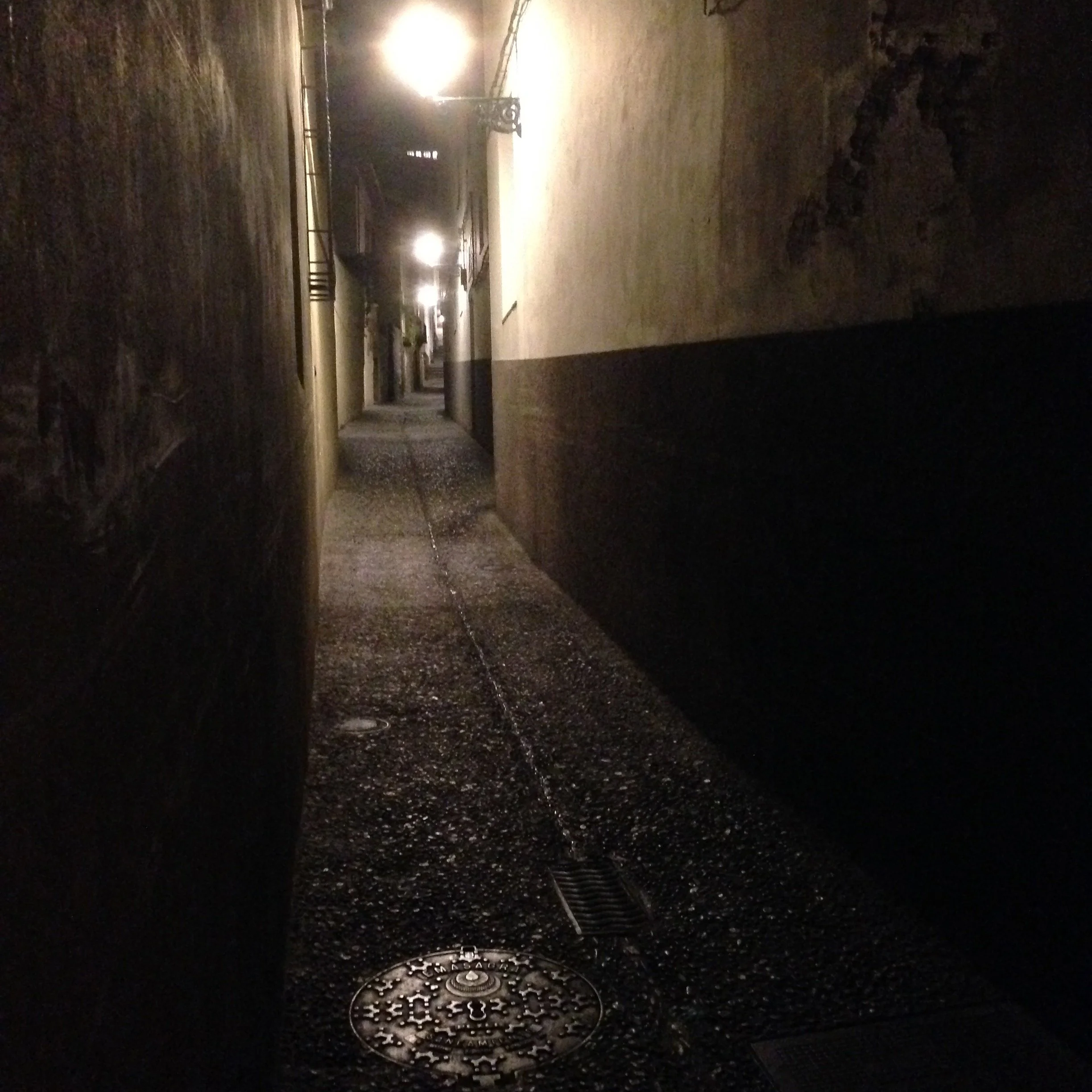 22.IMG2016828231533906136 copie.JPG