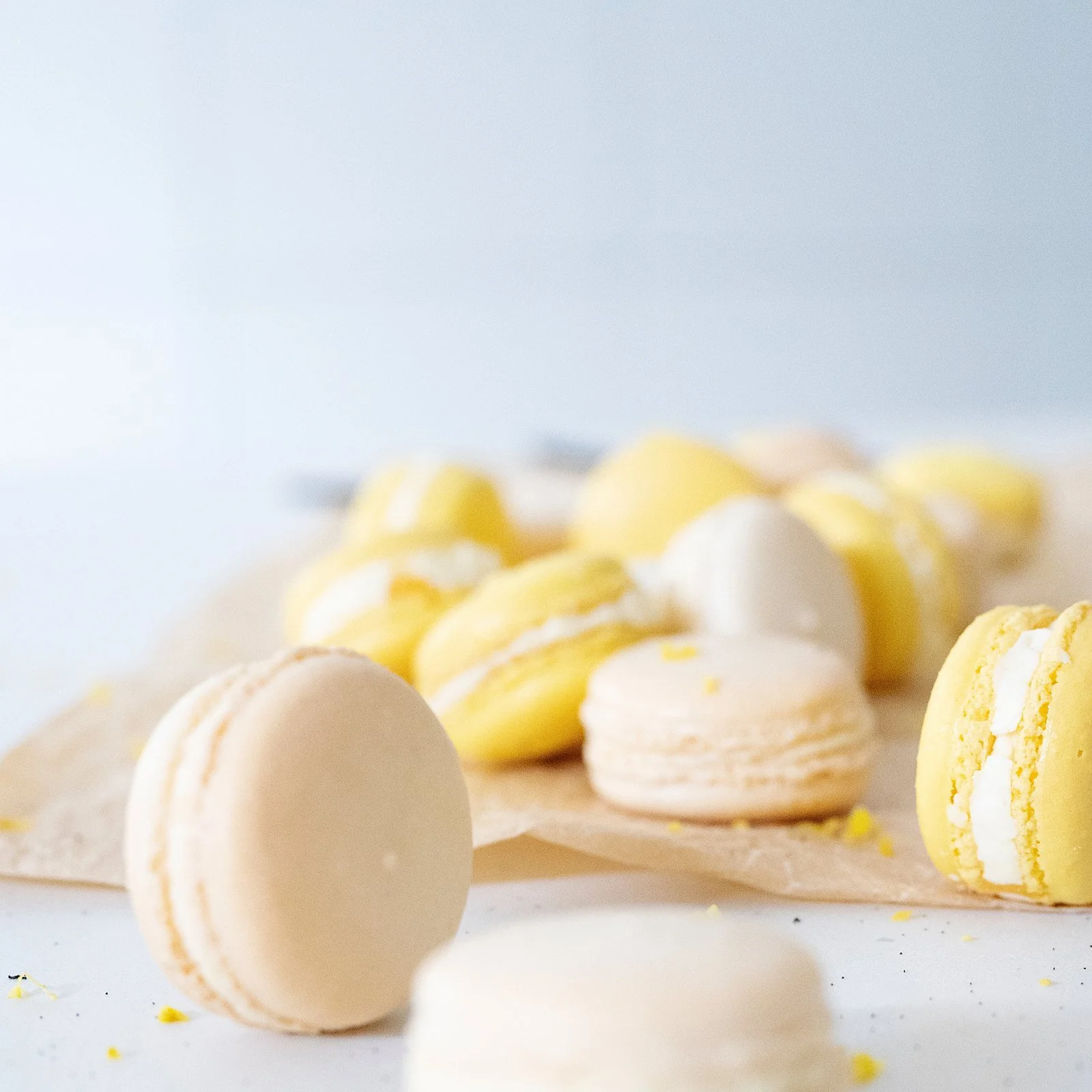 macarons.jpg
