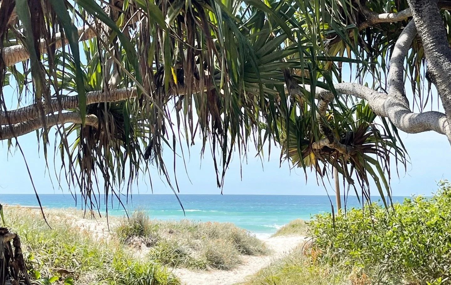 Community over competition.

That&rsquo;s always been the heart of Cupcake Retreats.

Not just learning techniques, but gathering around a table, sharing ideas, and spending a few days surrounded by women who love creating as much as you do.

This ve