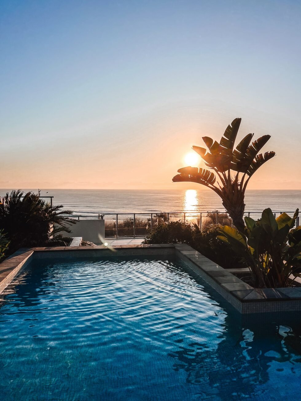 A swimming pool overlooking the ocean at sunset with a large tropical plant next to it.