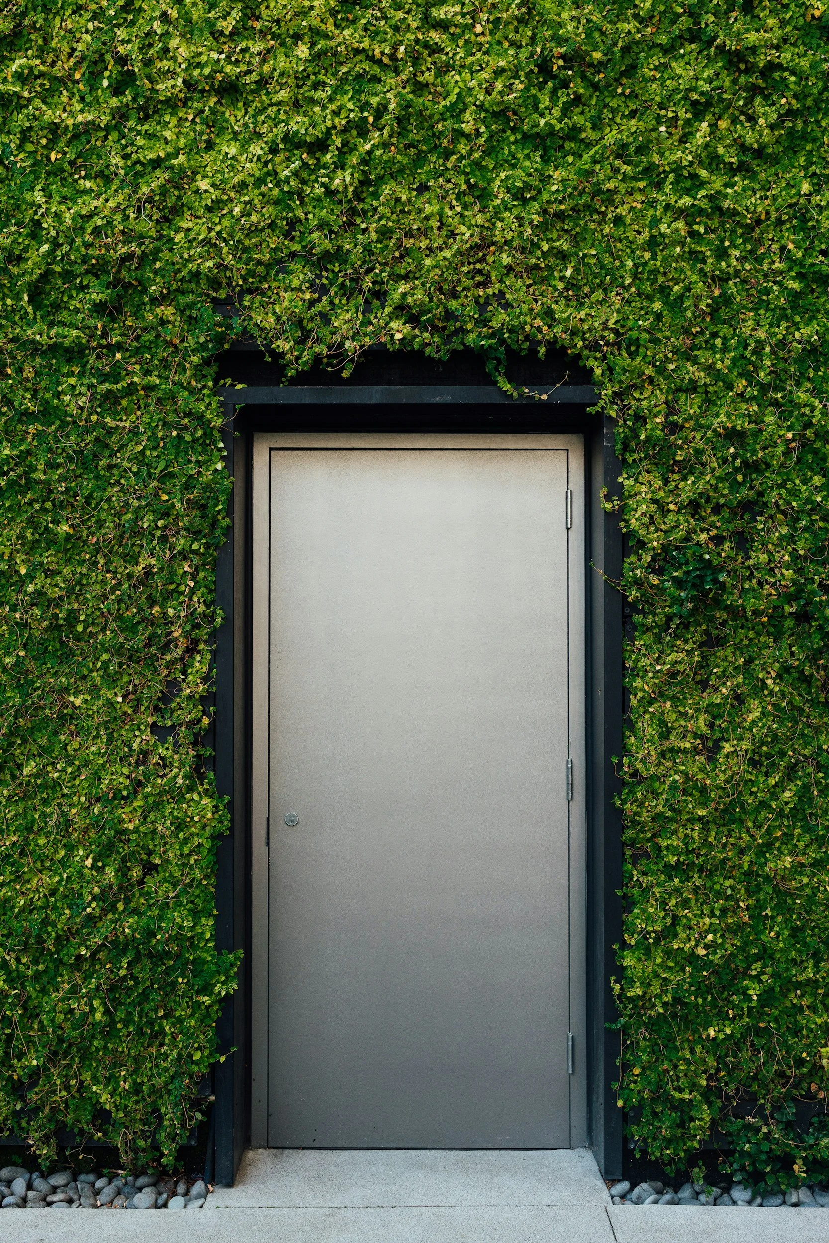 A metal door surrounded by green foliage on a building exterior.