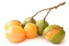 Guinep: A Healthy Fruit You Should Know About — Proactive Health Labs