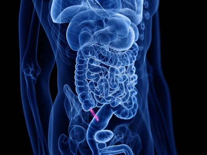          Your Appendix isn’t useless