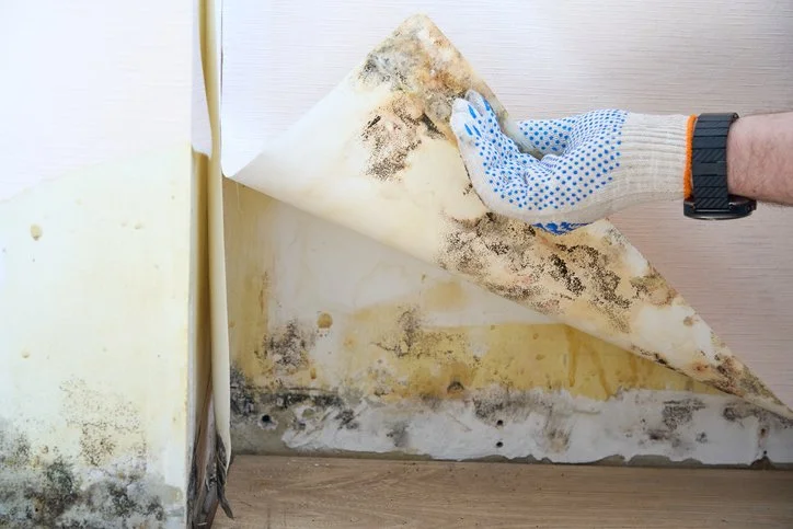 You Feel Fine. But Have You Ever Tested Your Environment?