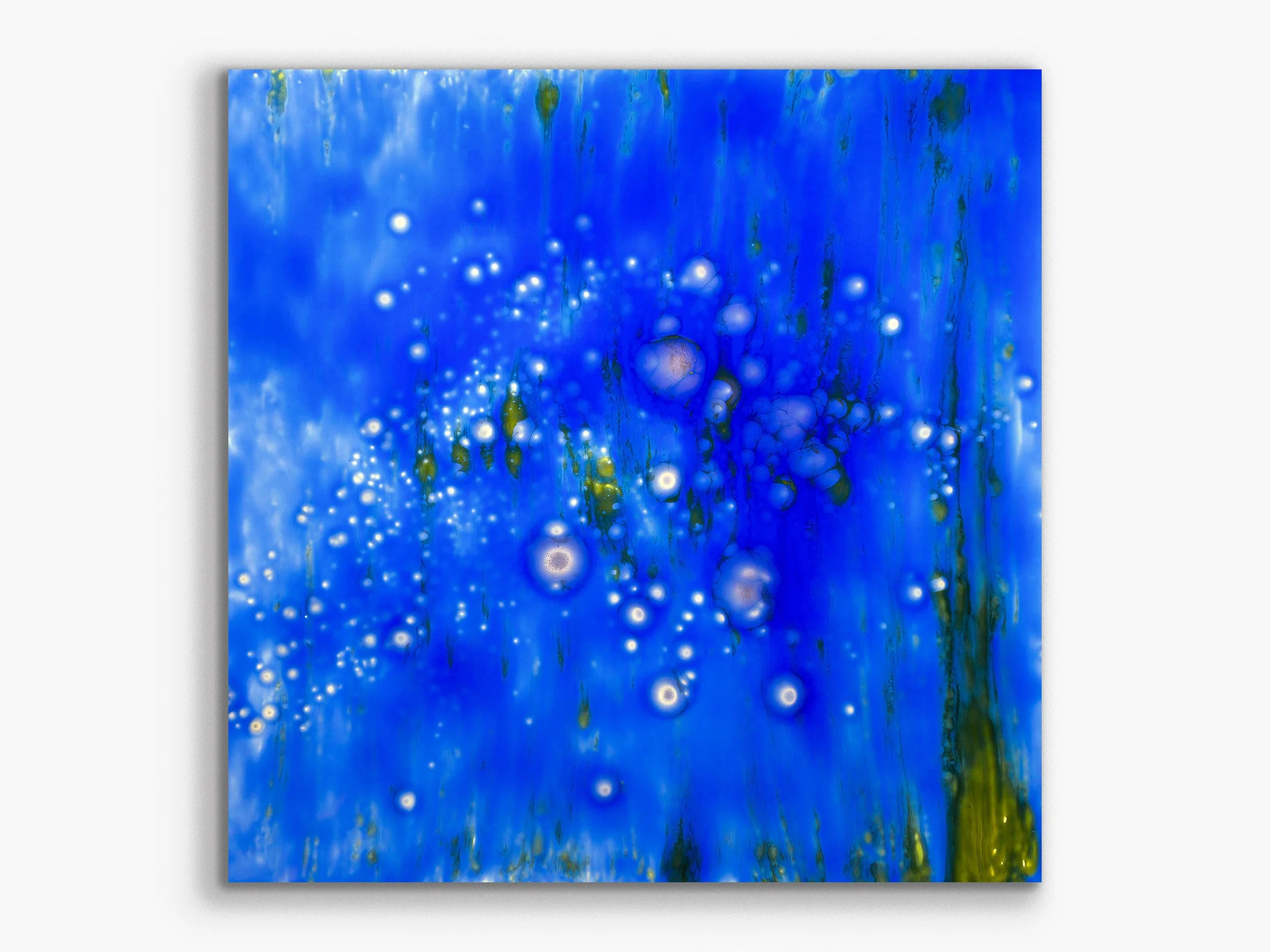 Xylem series: Haplostele68, 2024