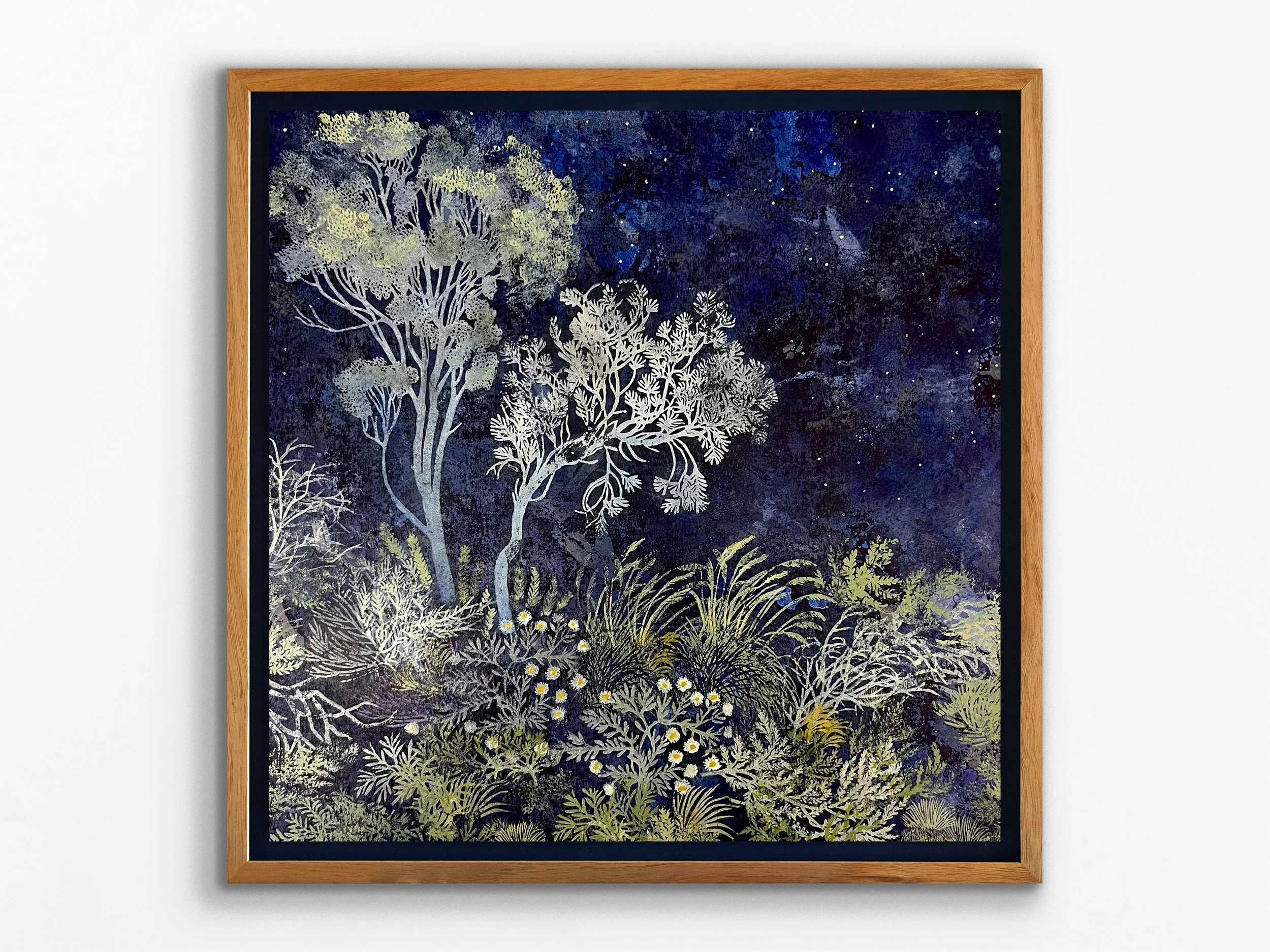 Following the Stars, 2025